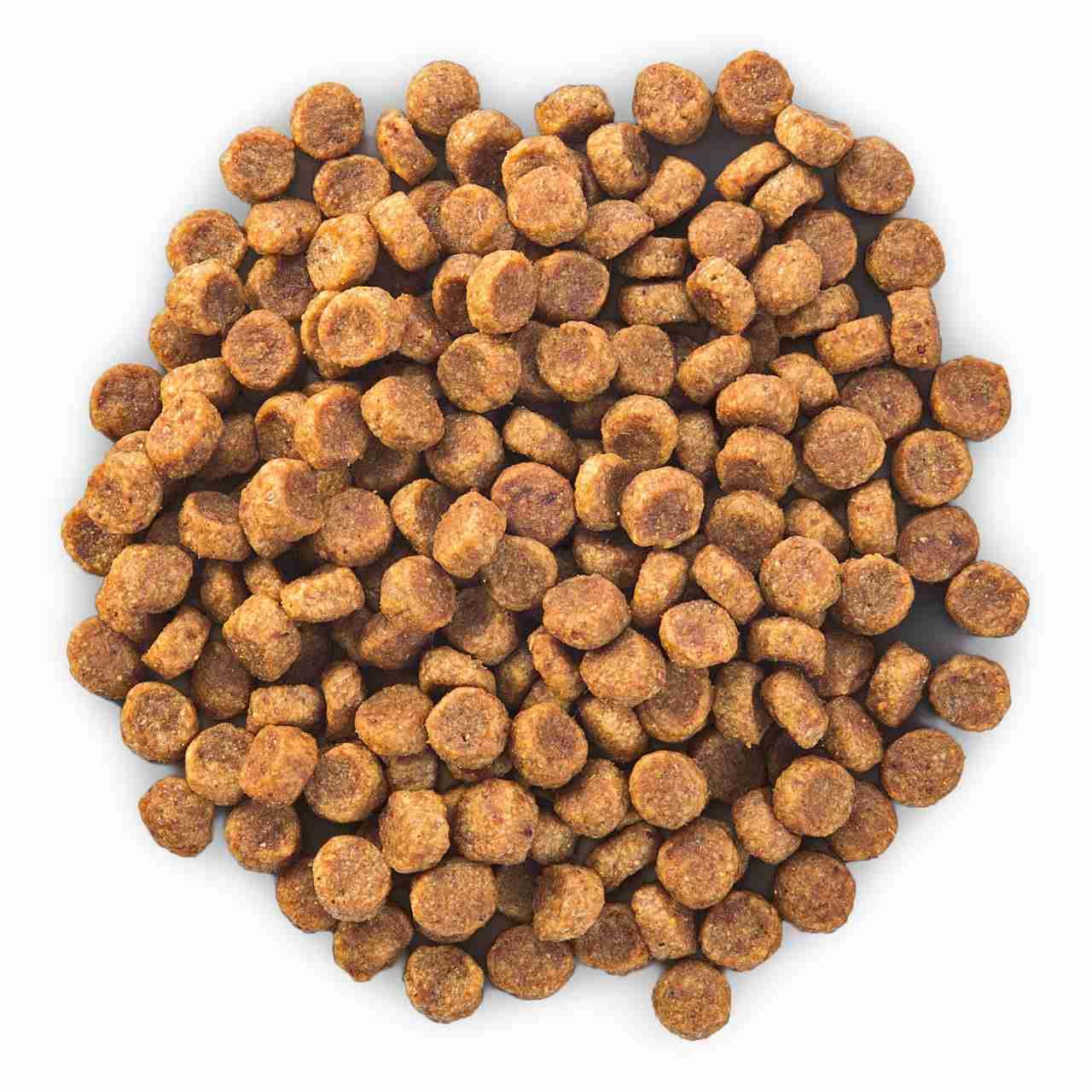 Hill's Science Plan Canine Adult Small & Miniature Chicken - Image 6
