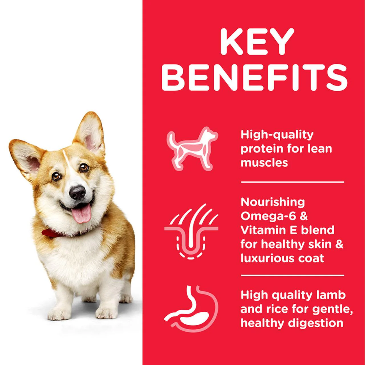 Hill's Science Plan Canine Adult Small & Miniature Chicken - Image 7