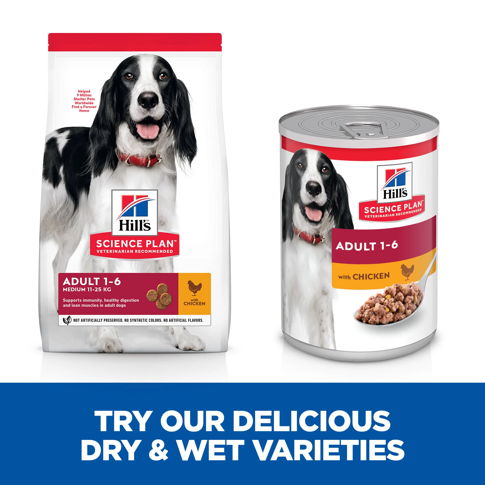 Hill's Science Plan Canine Adult Wet Dog Food - Chicken - Image 8