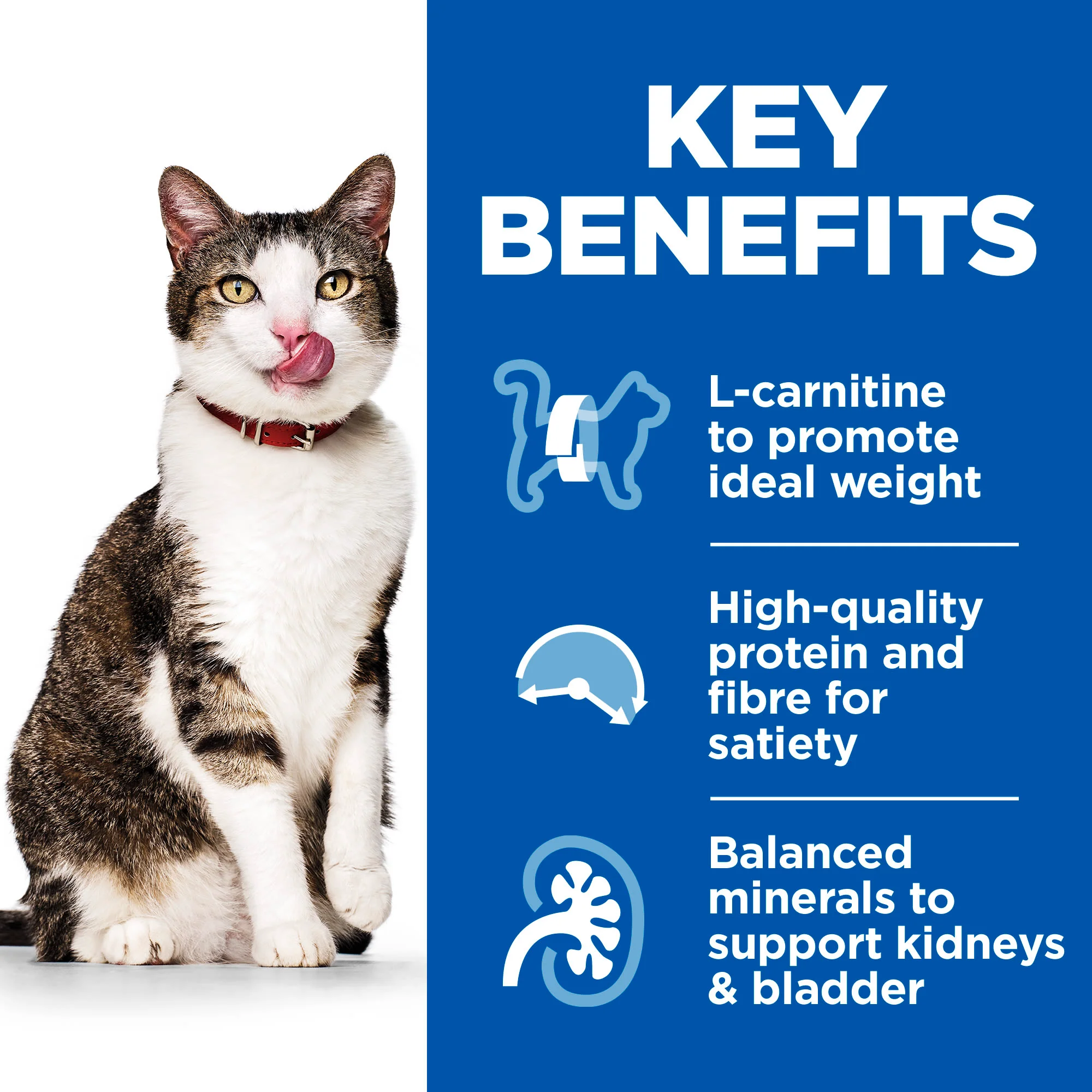 Hill's Science Plan Feline Adult Light - Image 3