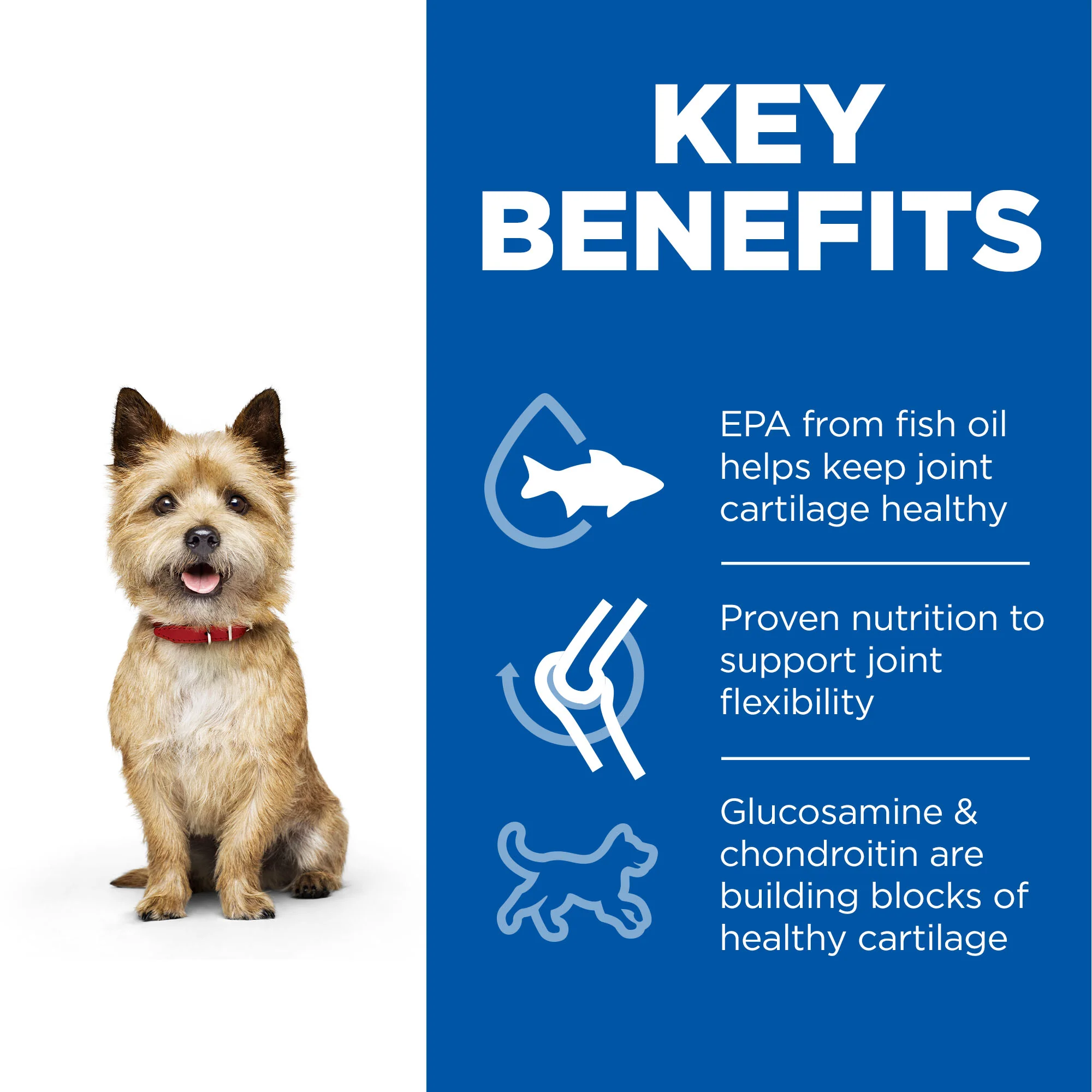 Hill's Science Plan Healthy Mobility Small & Mini Adult1+ Dry Dog Food- Chicken - Image 3