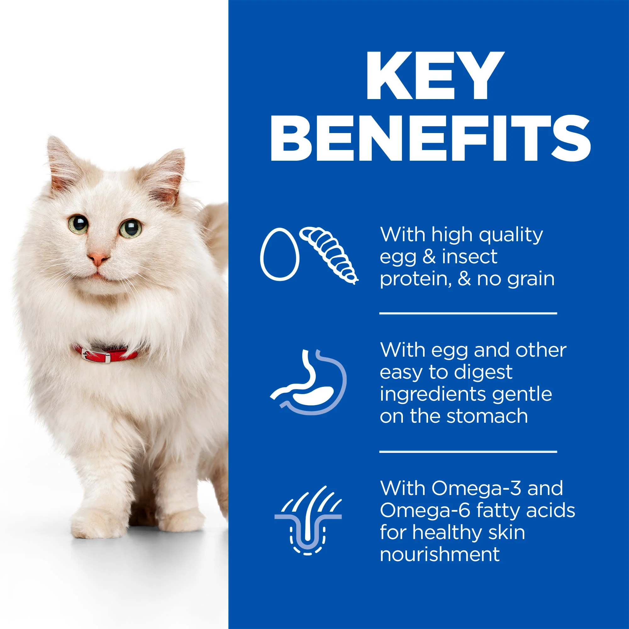 Hill's Science Plan Hypoallergenic Insect & Egg Adult Dry Cat Food - Image 3