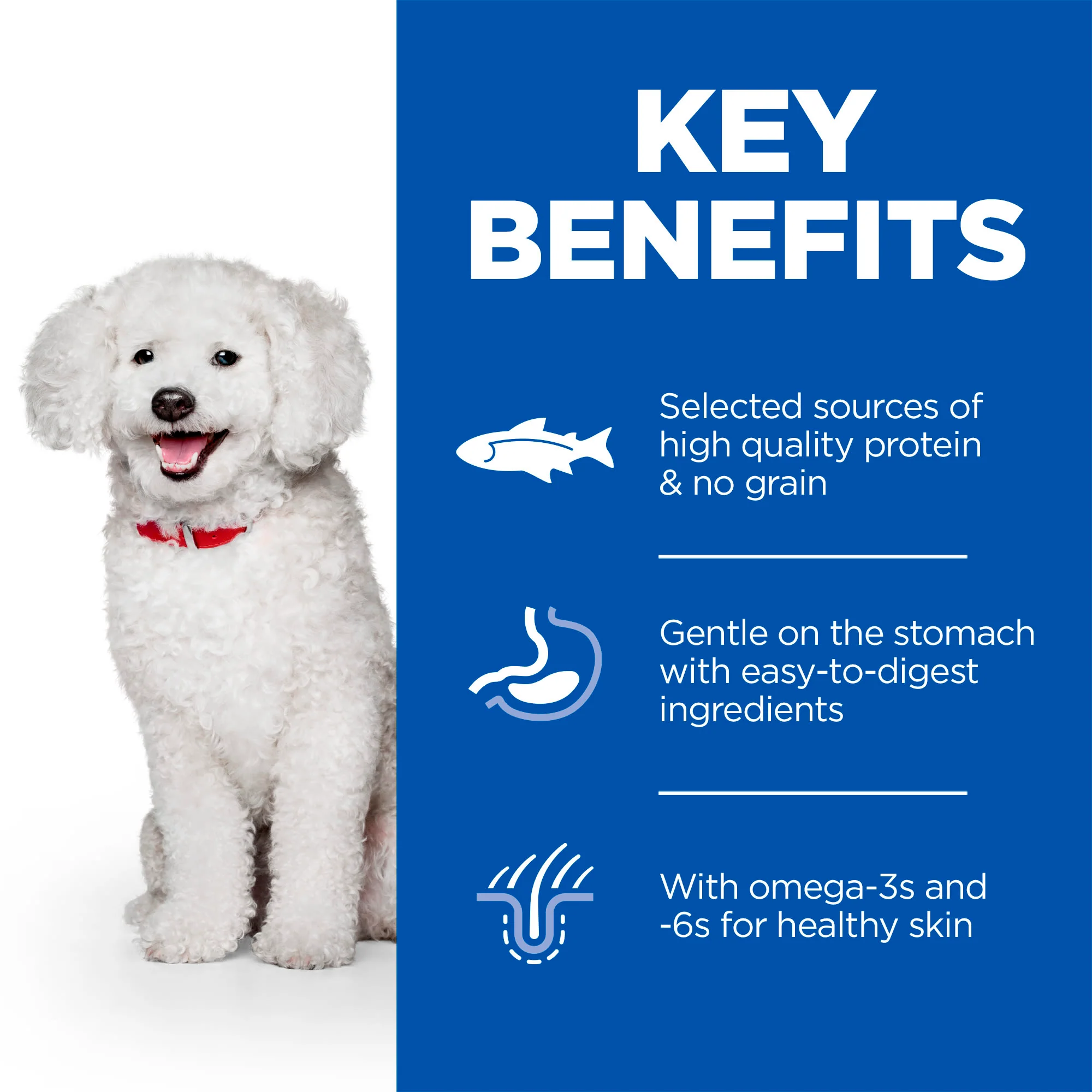 Hill's Science Plan Hypoallergenic Small & Mini Adult Dry Dog Food - Salmon - Image 3