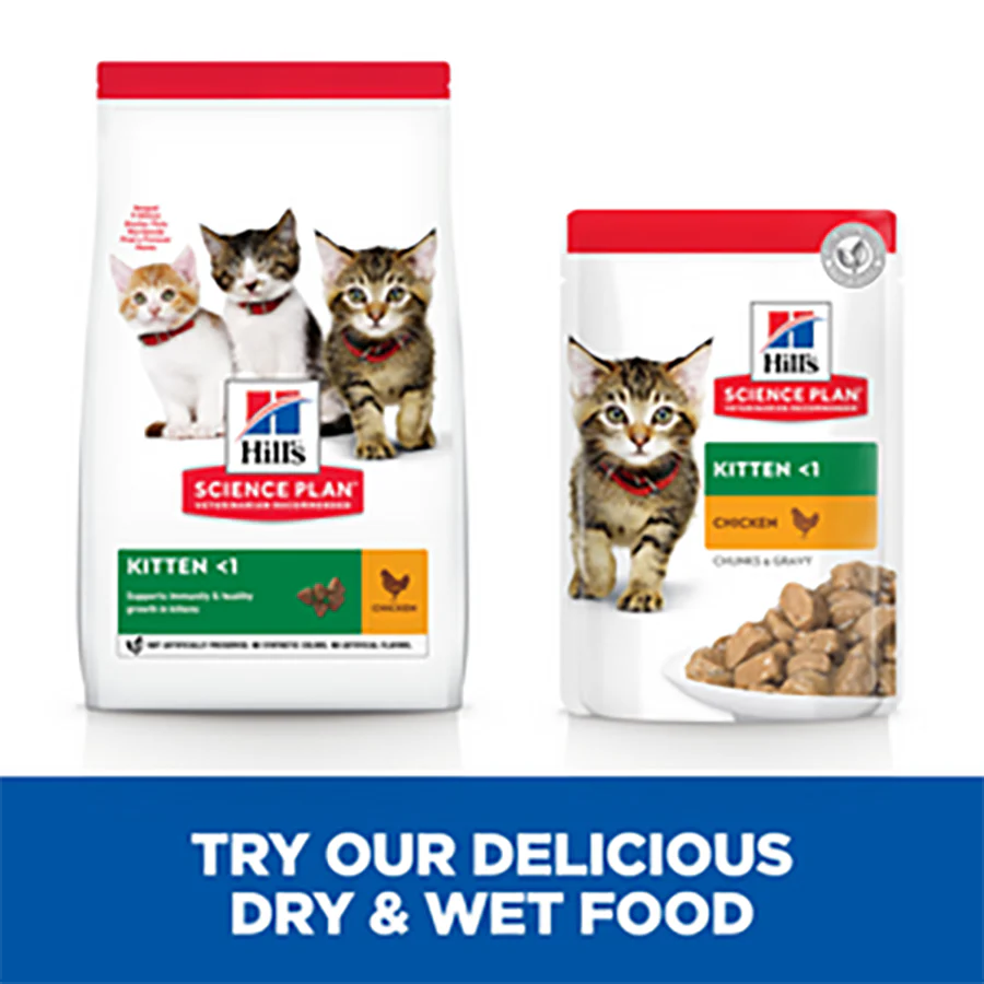 Hill's Science Plan Kitten <1 Dry Cat Food - Chicken - Image 3
