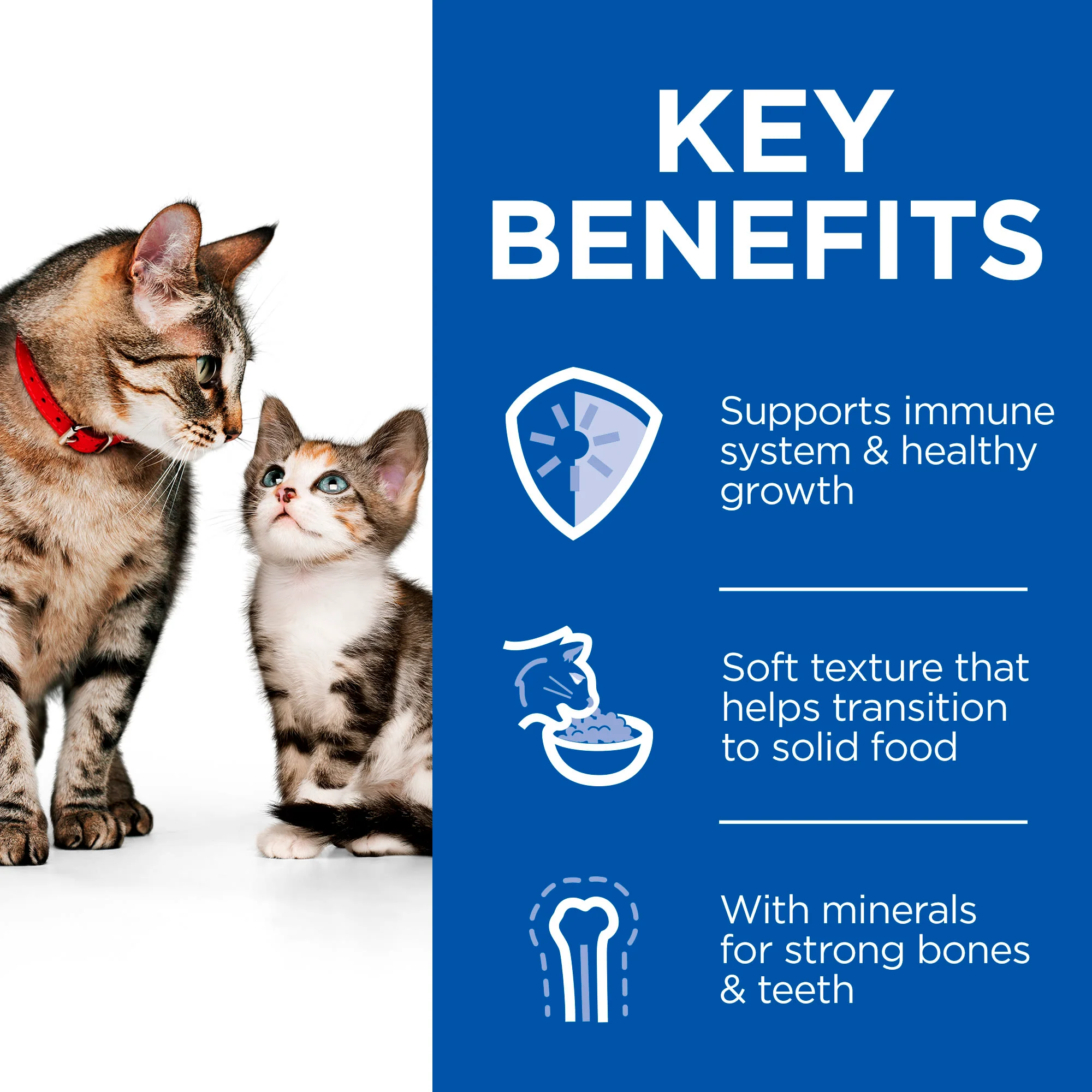 Hill's Science Plan Kitten & Mother Tender Mousse Wet Food with Chicken & Turkey - 24 x 85g Can - Image 4