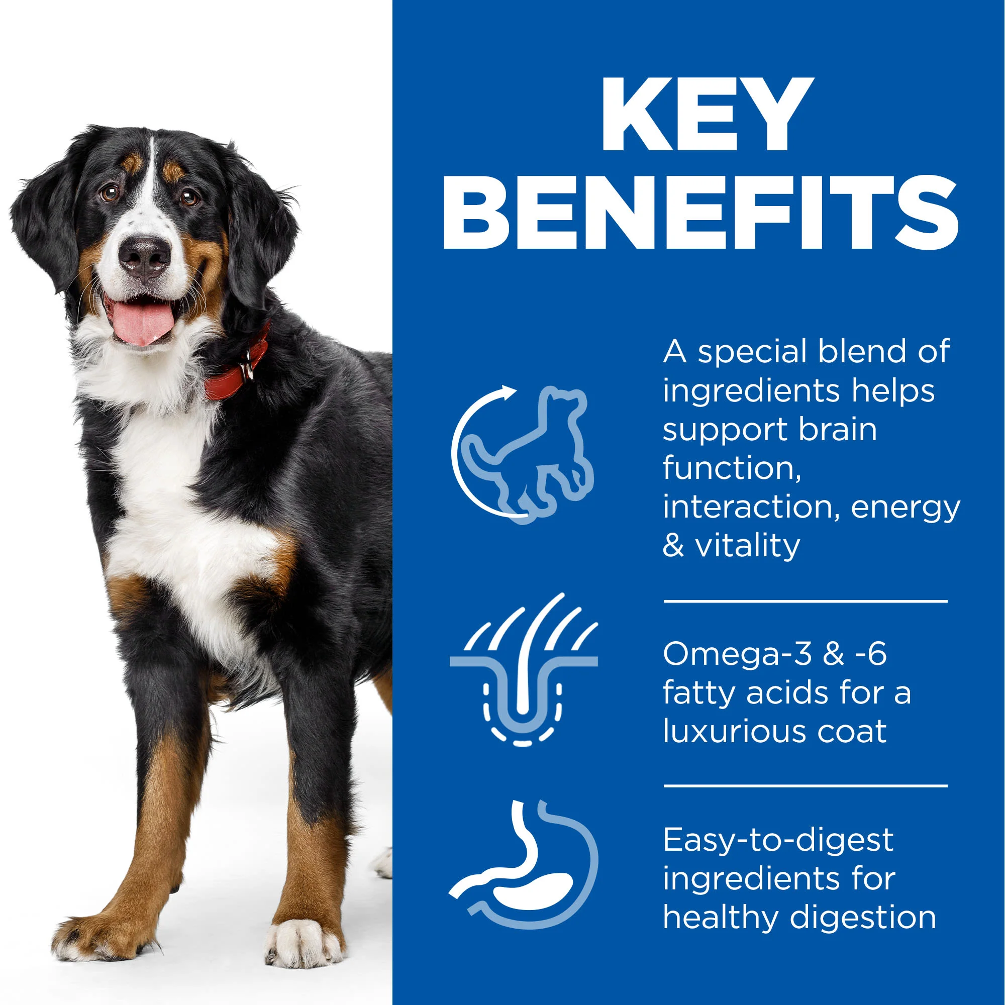 Hill's Science Plan Large Adult 1-5 Dry Dog Food - Chicken - Image 5