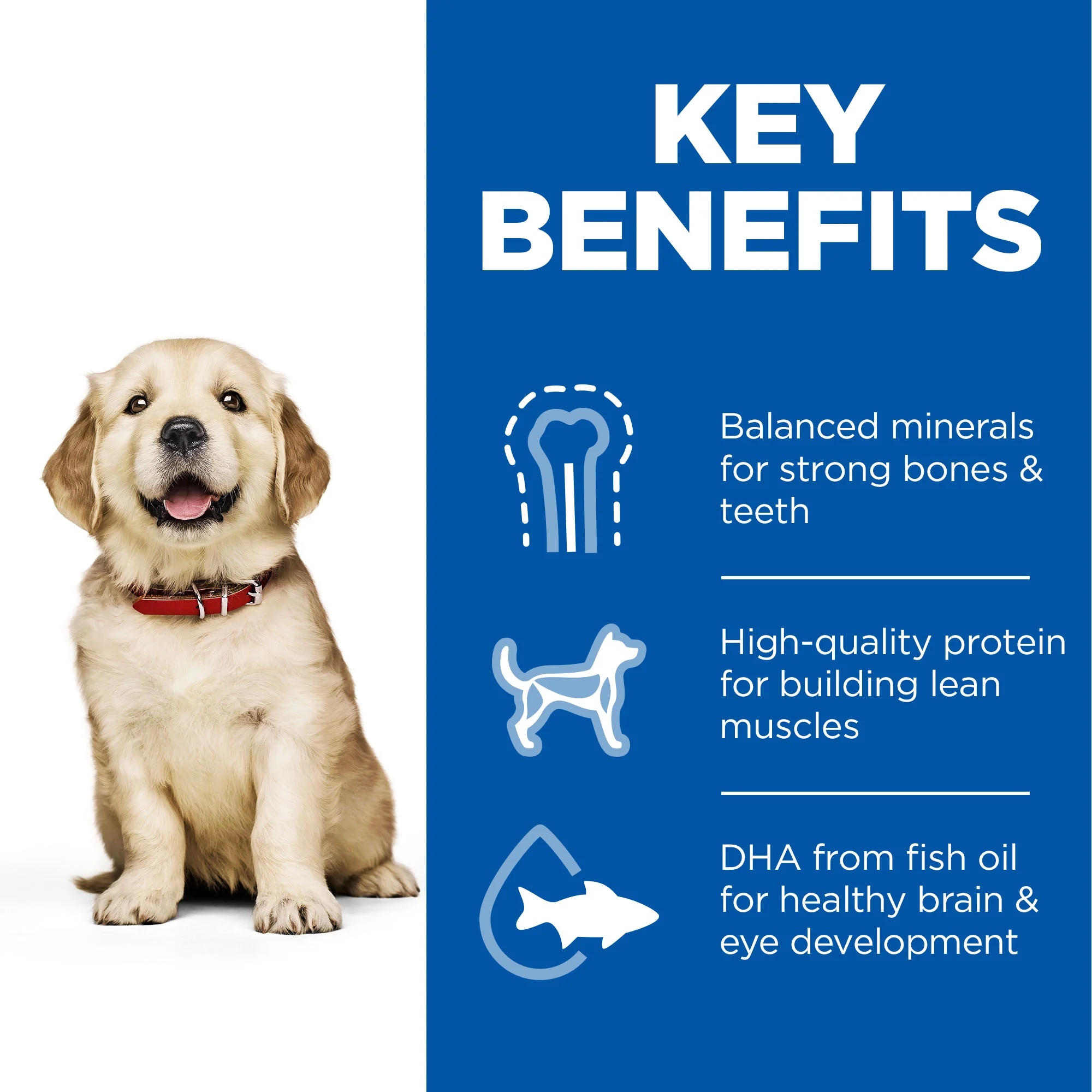 Hill's Science Plan Large Breed Puppy Dry Food - Chicken - Image 3