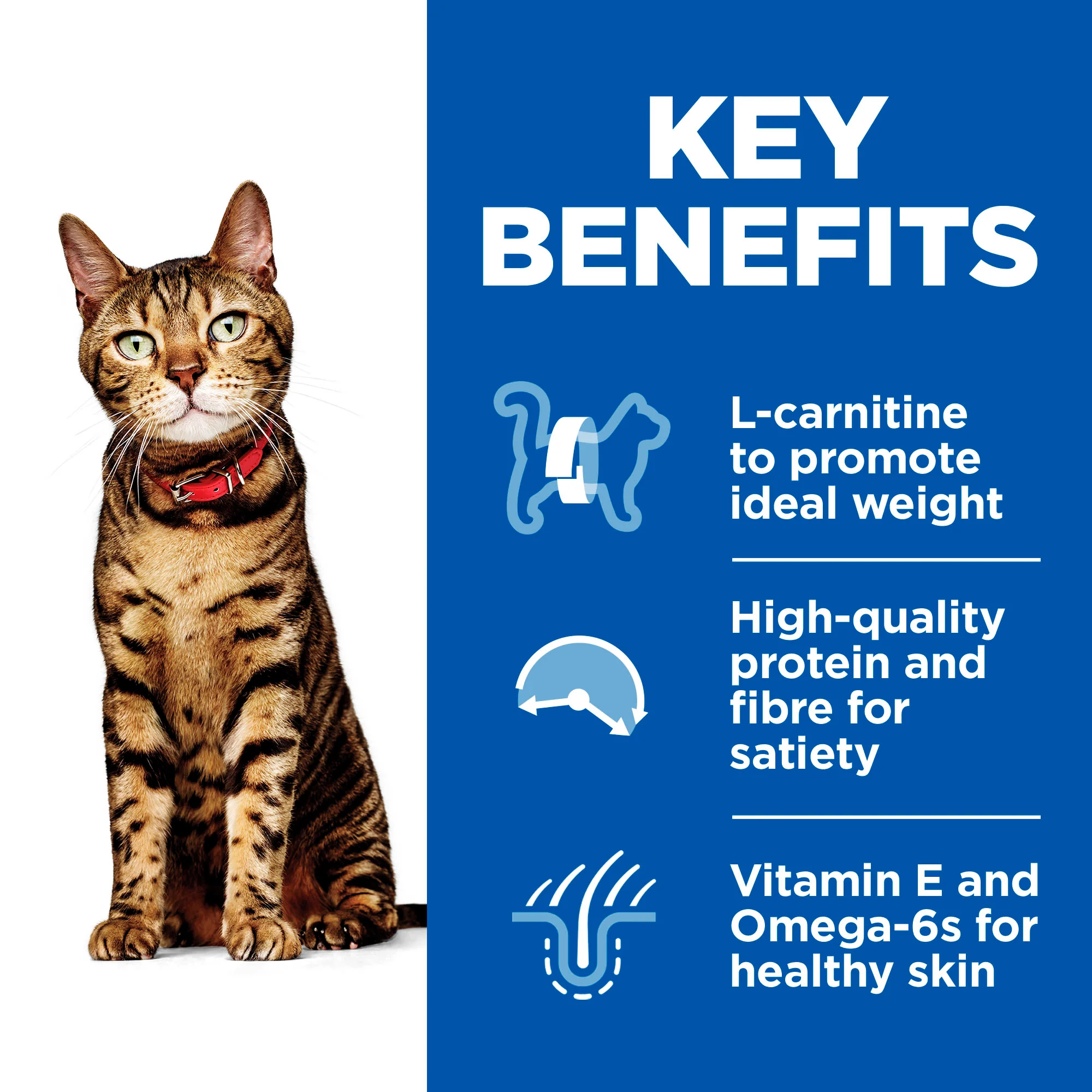 Hill's Science Plan Light Adult 1-6 Dry Cat Food - Chicken - Image 4