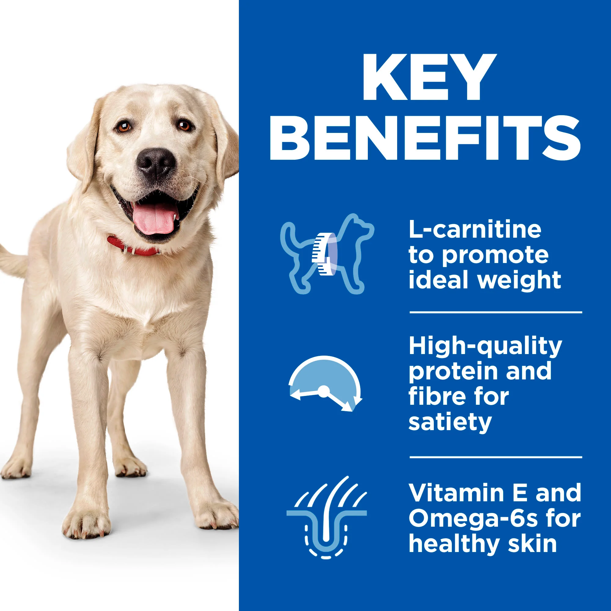 Hill's Science Plan Light Large Adult 1-5 Dry Dog Food - Chicken - Image 3
