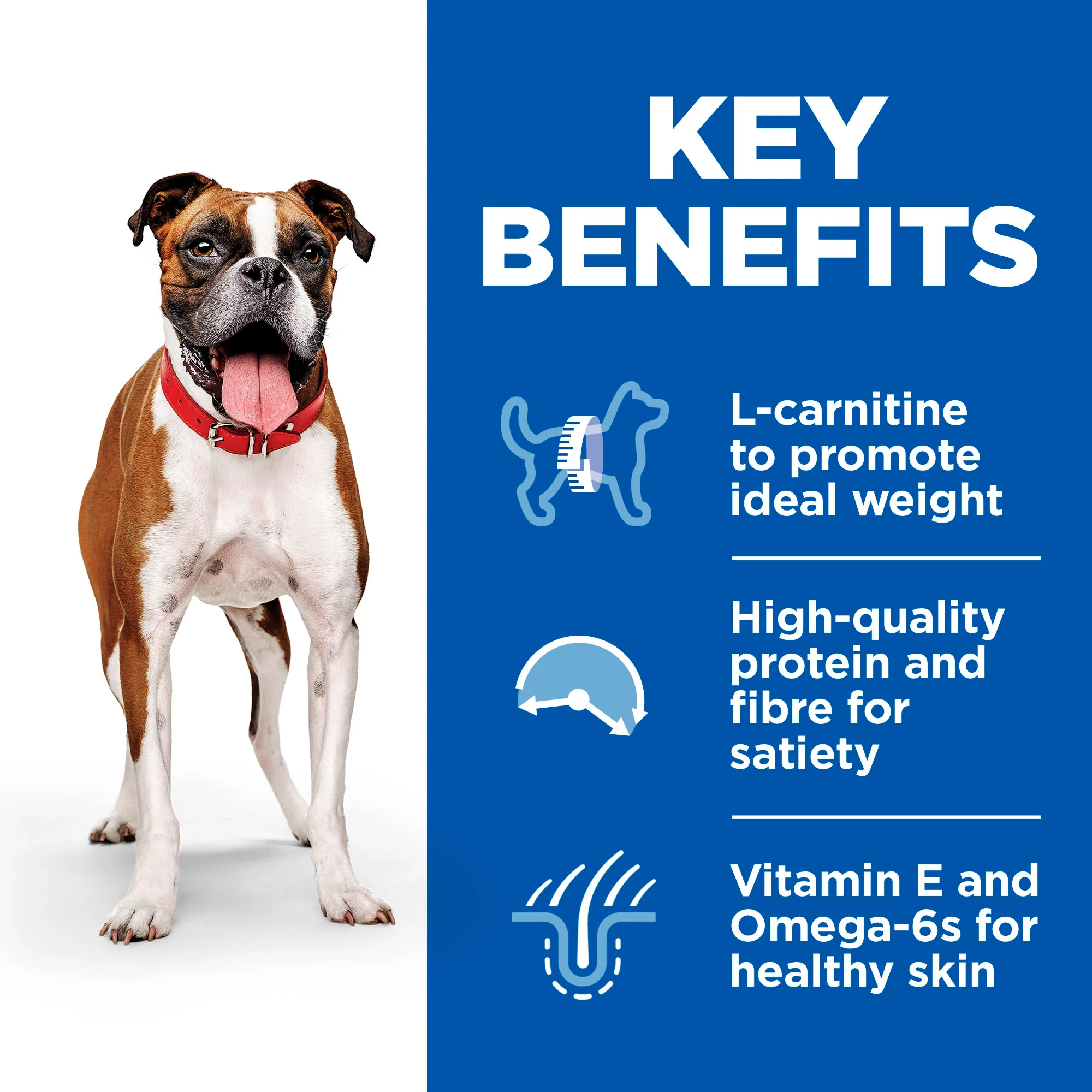 Hill's Science Plan Light Medium Adult 1-6 Dry Dog Food - Chicken - Image 4