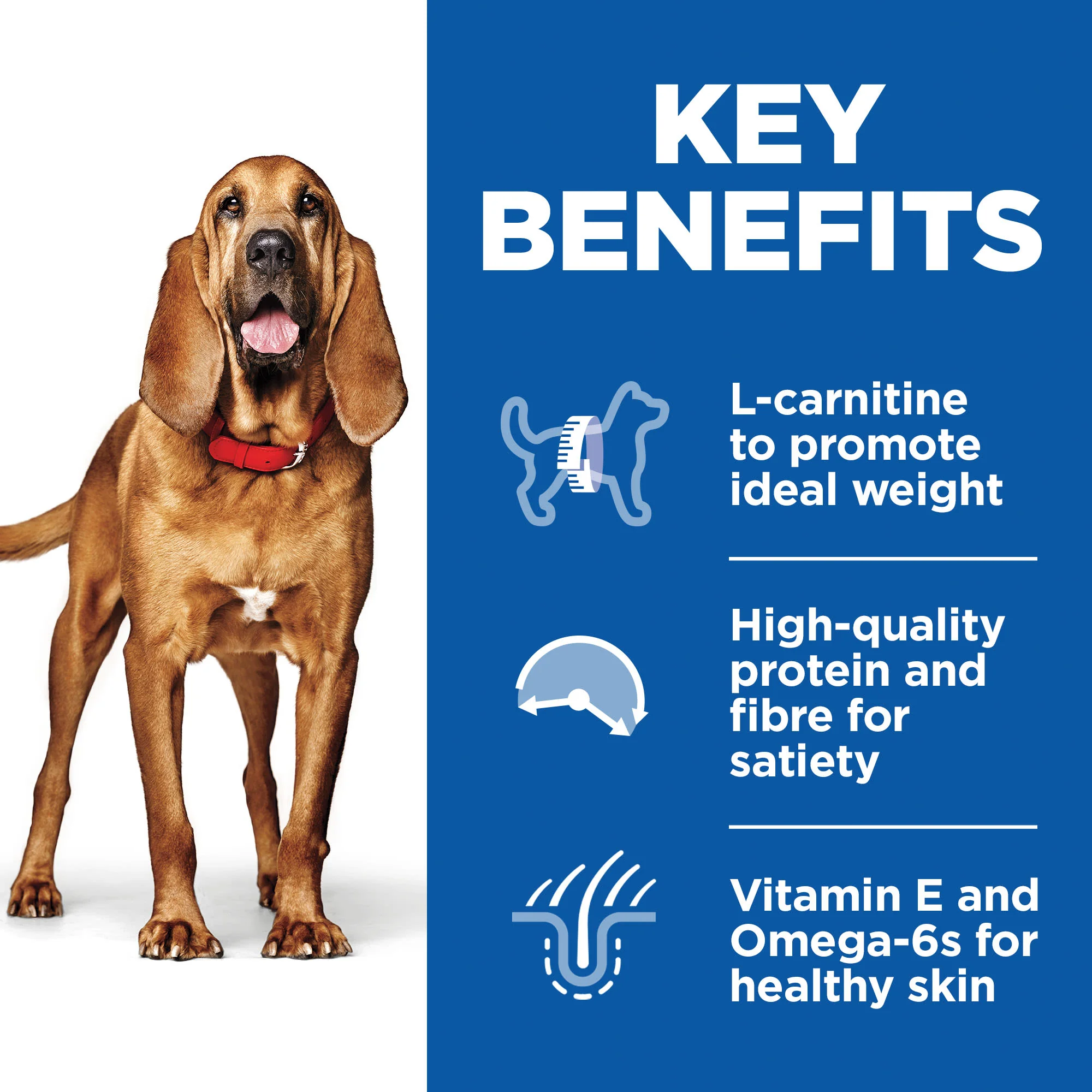 Hill's Science Plan Light Medium Mature Adult 7+ Dry Dog Food - Chicken - Image 5