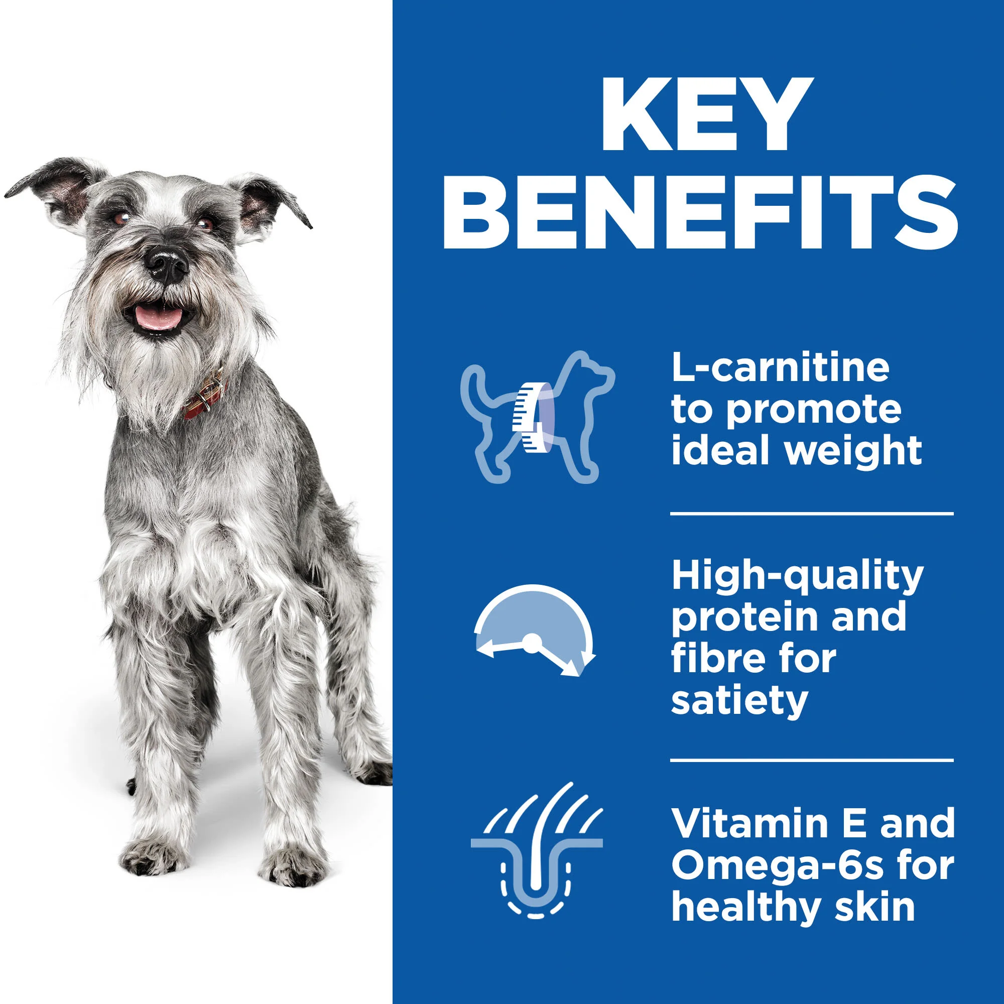 Hill's Science Plan Light Small & Mini Mature Adult 7+ Dry Dog Food - Chicken - Image 3