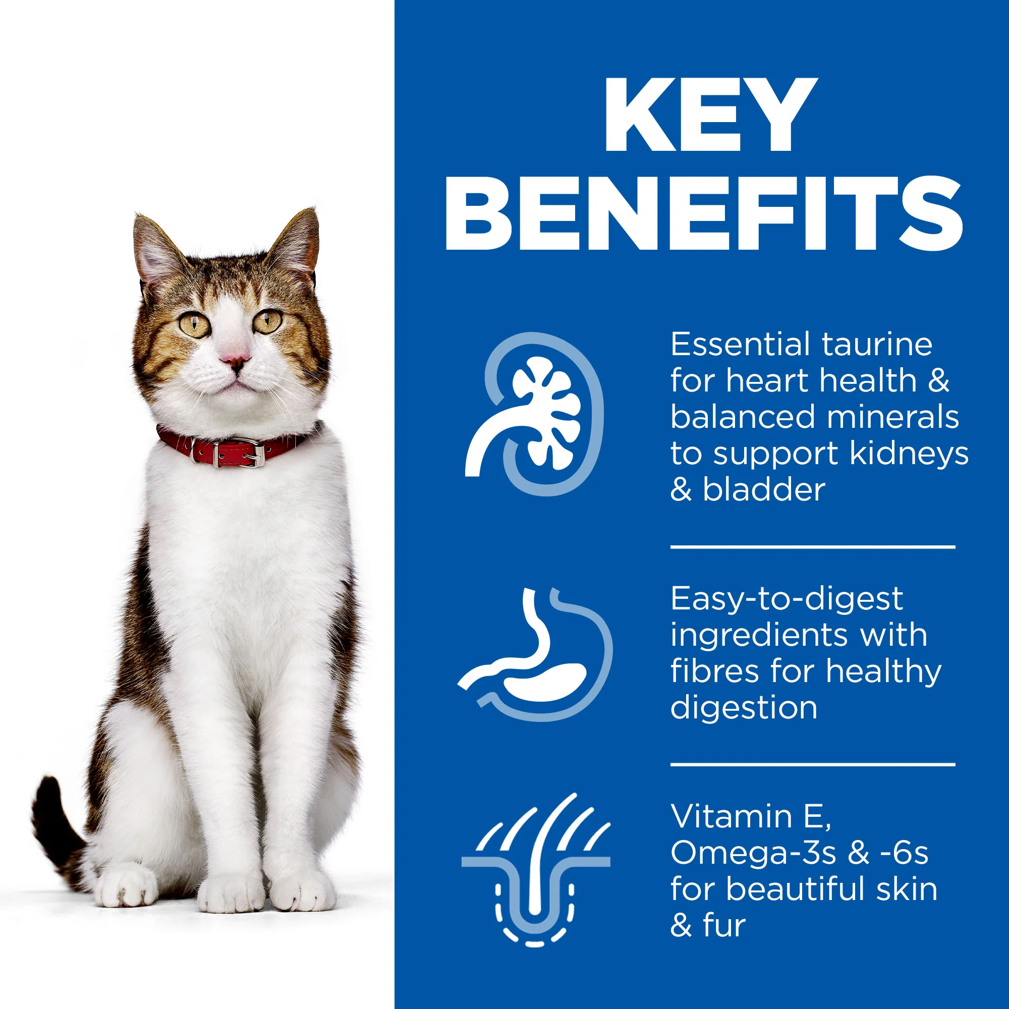 Hill's Science Plan Mature Adult 7+ Dry Cat Food - Chicken - Image 5