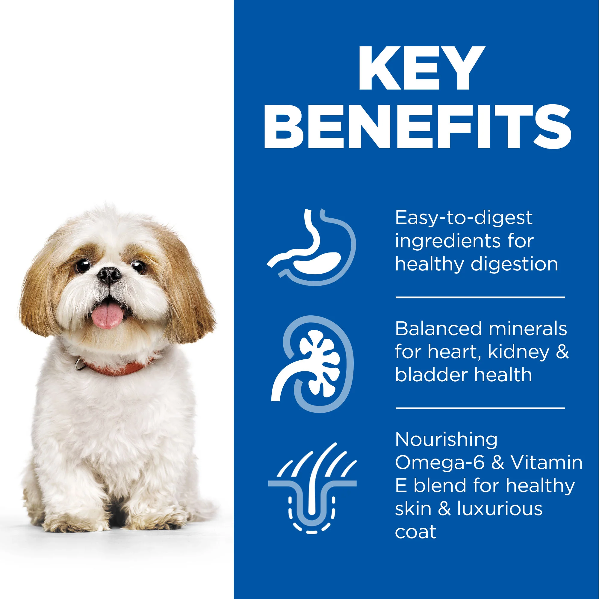 Hill's Science Plan Mature Adult 7+ Small & Mini Dry Dog Food - Chicken - Image 3