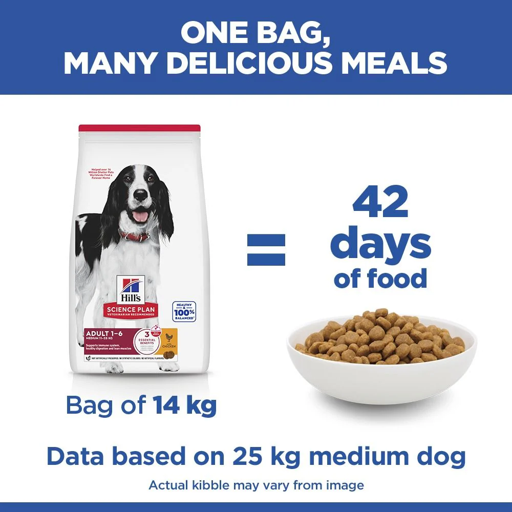 Hill's Science Plan Medium Adult 1-6 Dry Dog Food - Chicken - Image 6