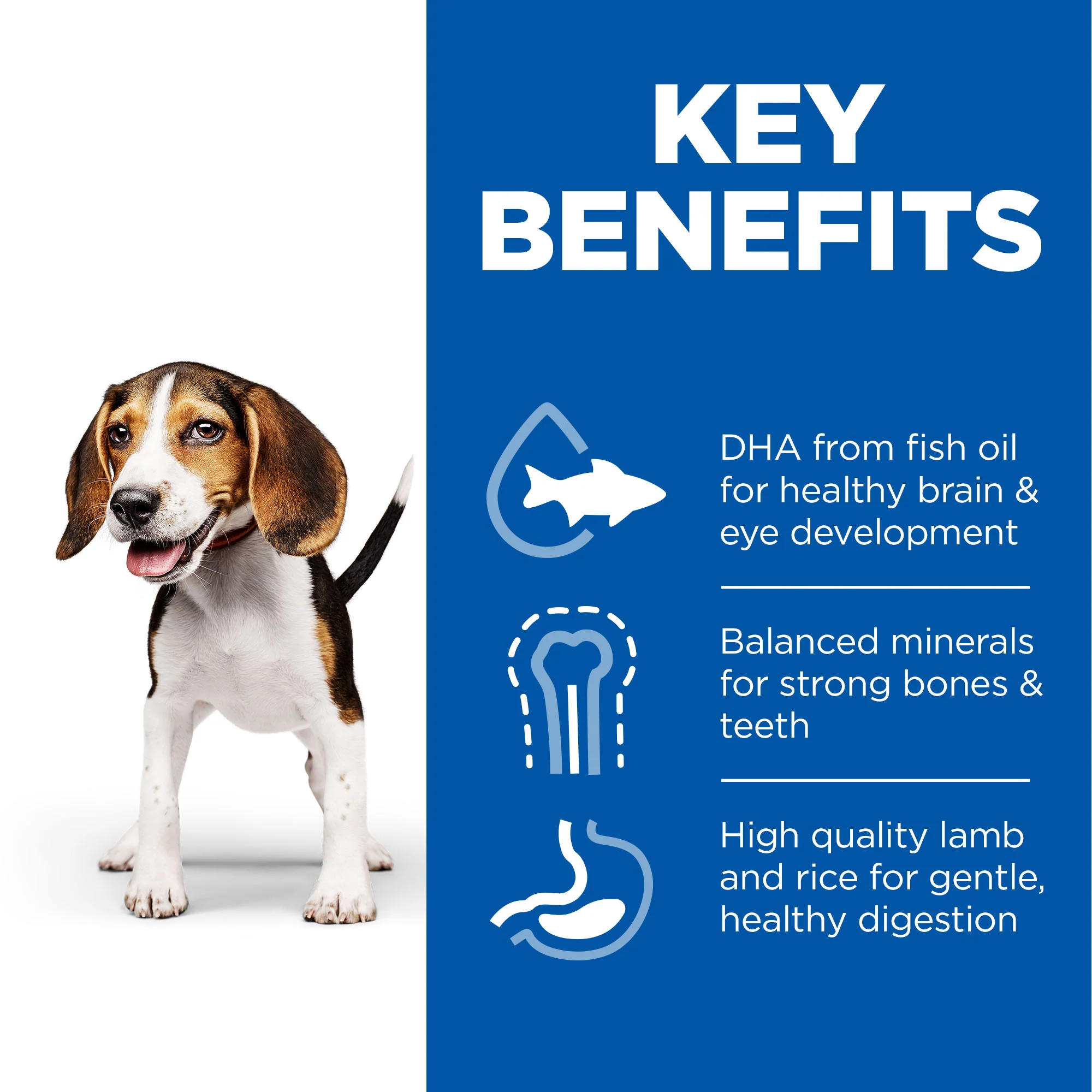 Hill's Science Plan Medium Puppy <1 Dry Dog Food - Lamb & Rice - Image 3