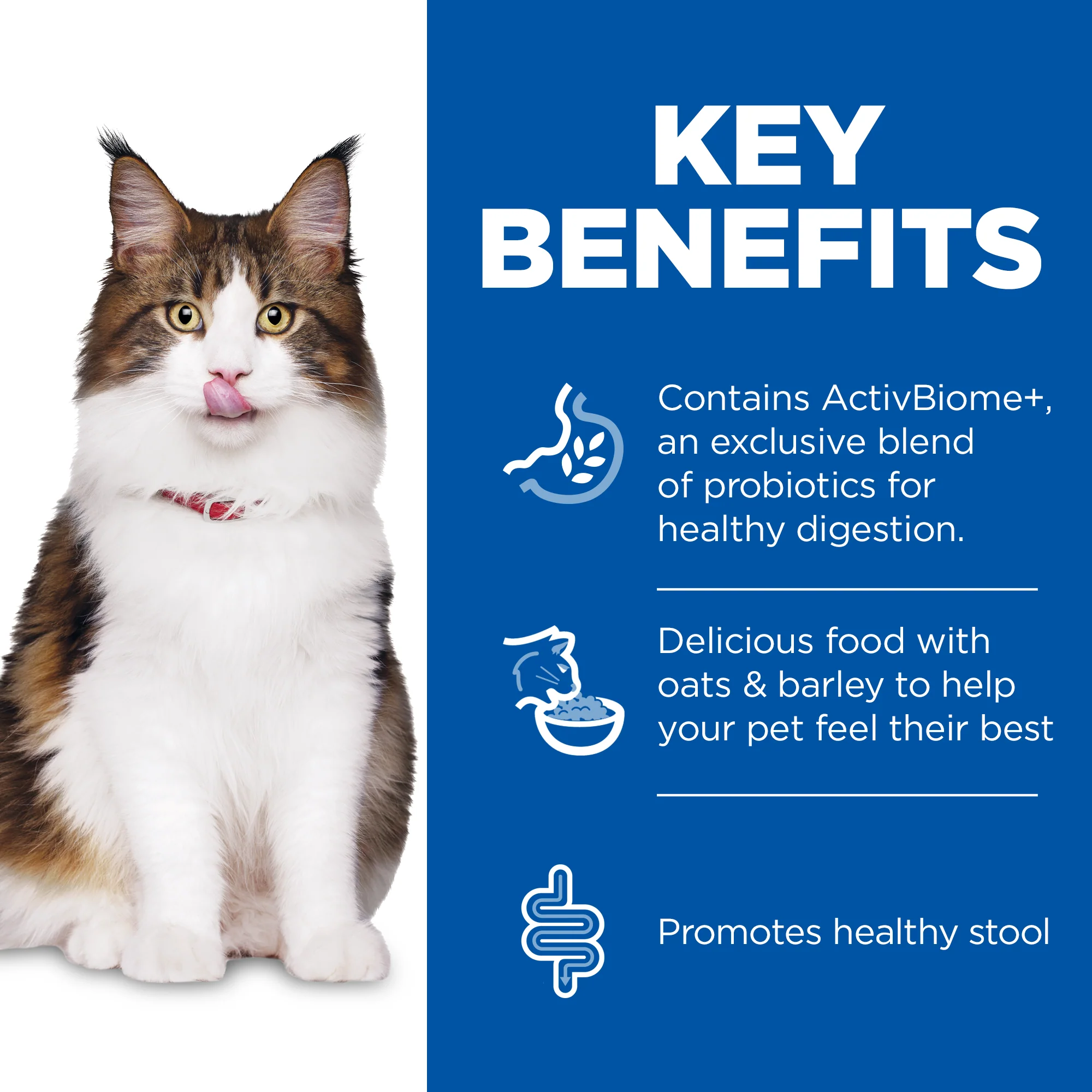 Hill's Science Plan Perfect Digestion Adult 1+ Dry Cat Food - Chicken & Brown Rice - Image 4