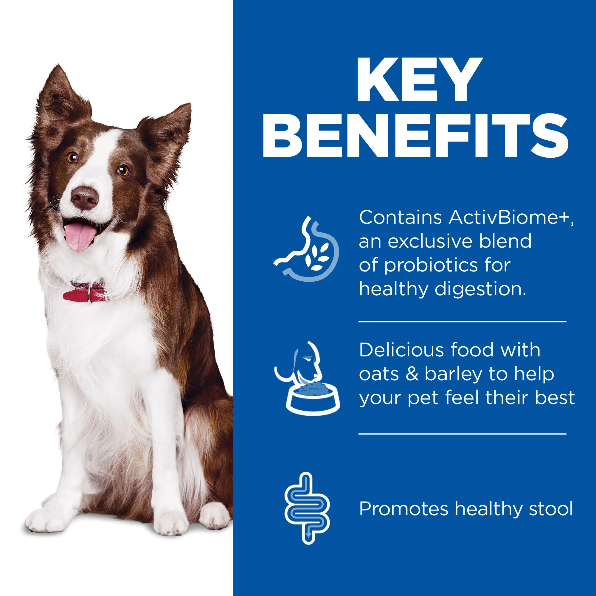 Hill's Science Plan Perfect Digestion Medium Adult 1+ Wet Dog Food with Chicken & Vegetables - 12 x 363g Can - Image 4