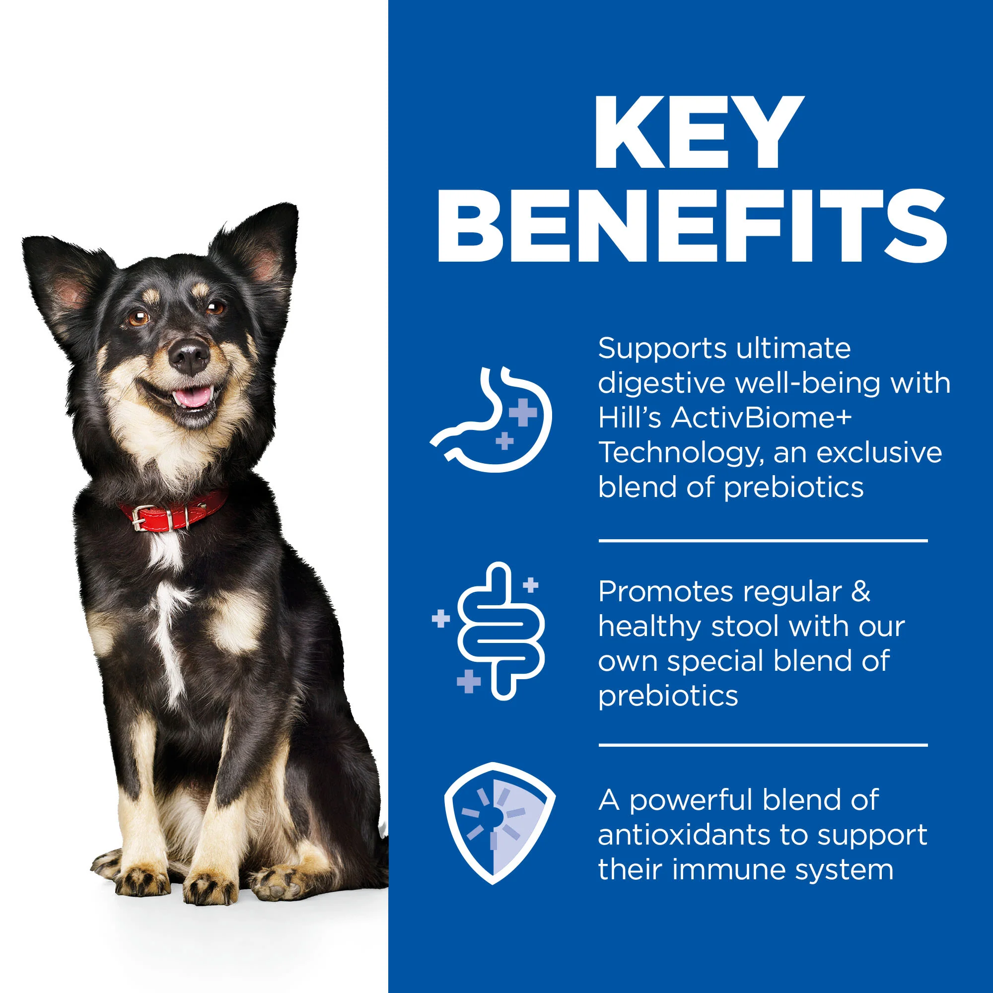 Hill's Science Plan Perfect Digestion Small & Mini Adult Wet Dog Food - Turkey - Image 8