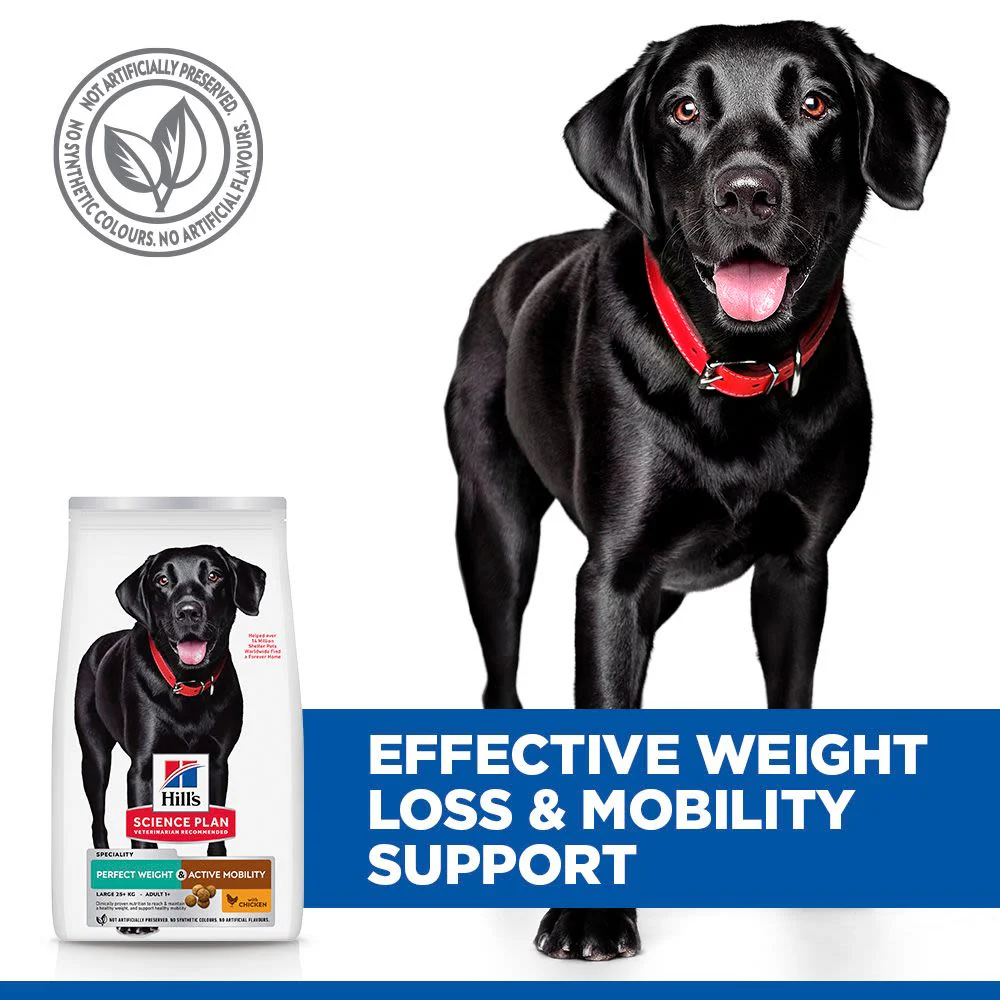 Hill's Science Plan Perfect Weight & Active Mobility Adult Large Dry Dog Food with Chicken - 12kg Bag - Image 5