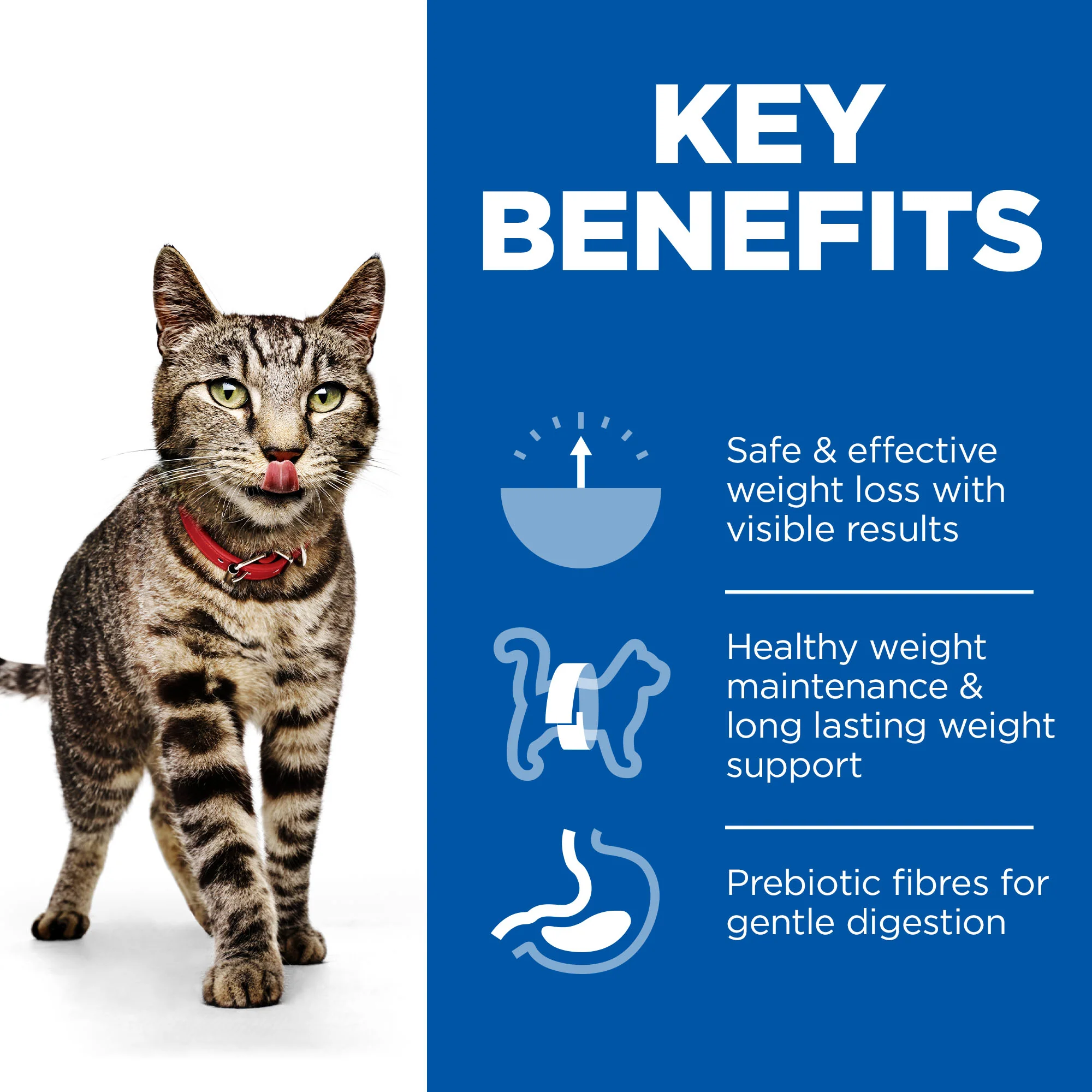 Hill's Science Plan Perfect Weight Adult 1-6 Wet Cat Food Pouches - Delicious Selection - Image 5