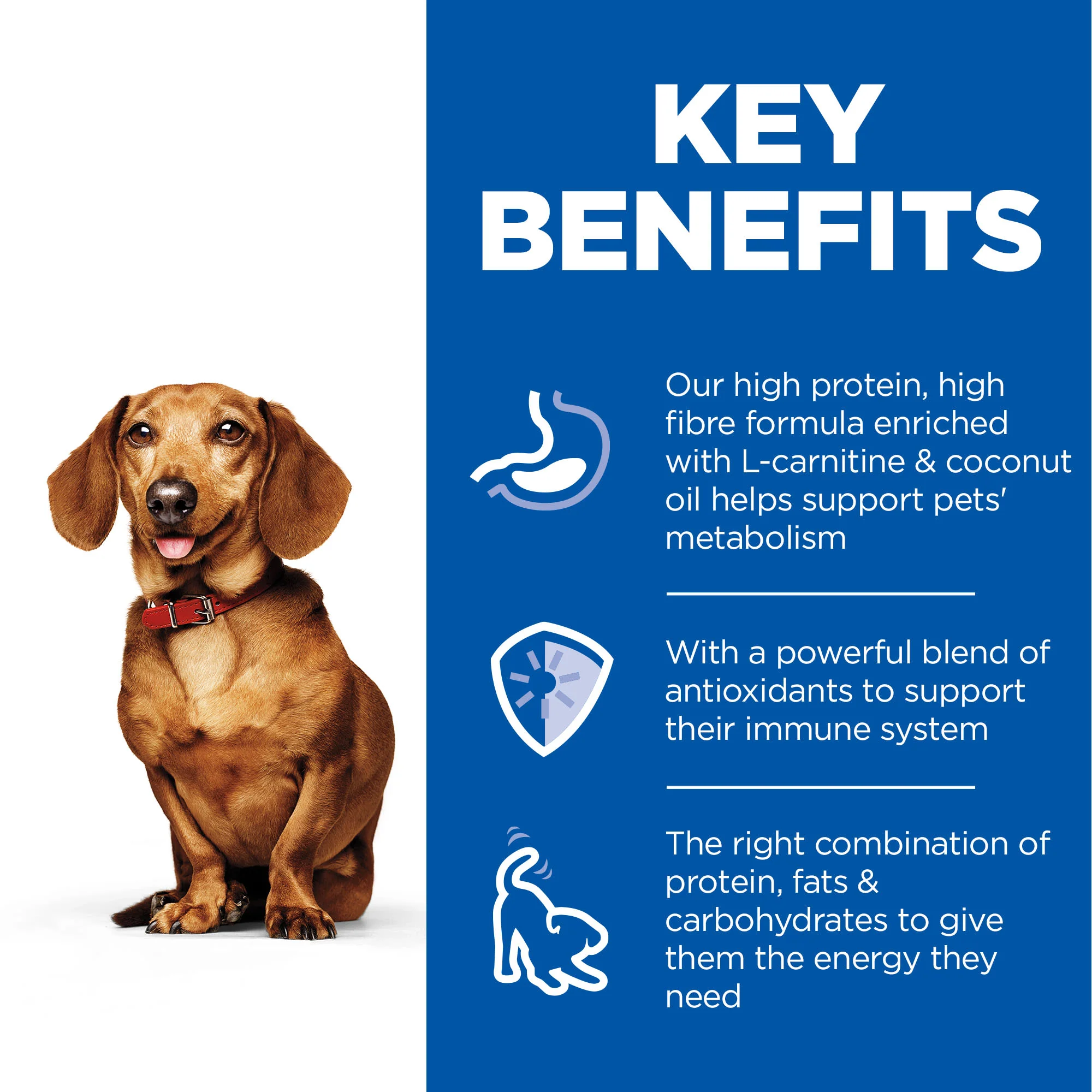 Hill's Science Plan Perfect Weight Adult Small & Mini Wet Dog Food - Turkey - Image 8