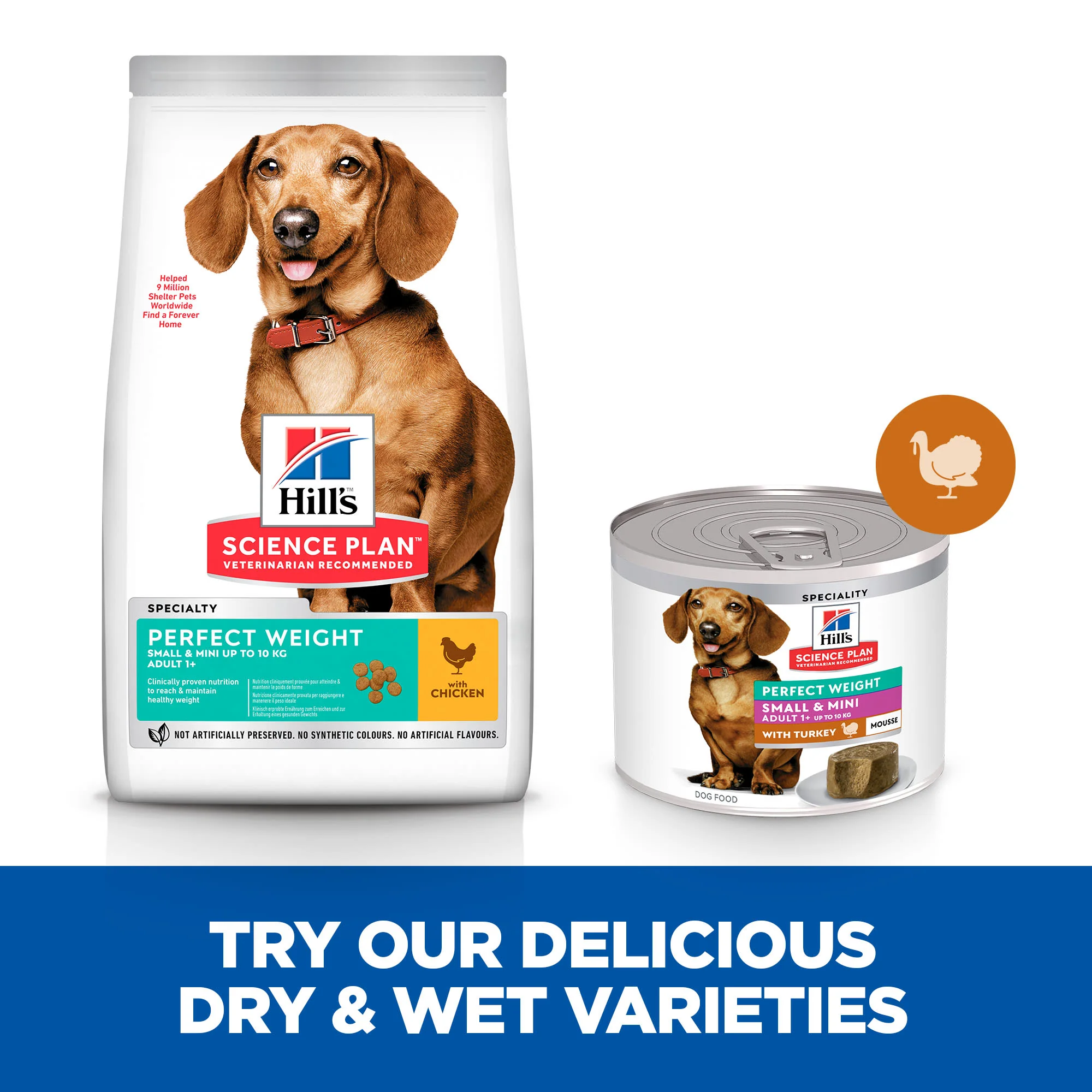 Hill's Science Plan Perfect Weight Adult Small & Mini Wet Dog Food - Turkey - Image 9