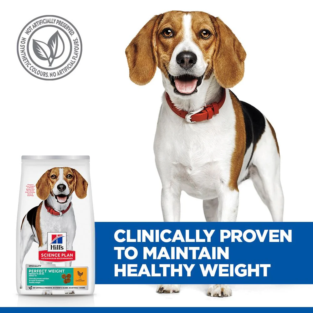 Hill's Science Plan Perfect Weight Medium Adult 1+ Dry Dog Food - Chicken - Image 7
