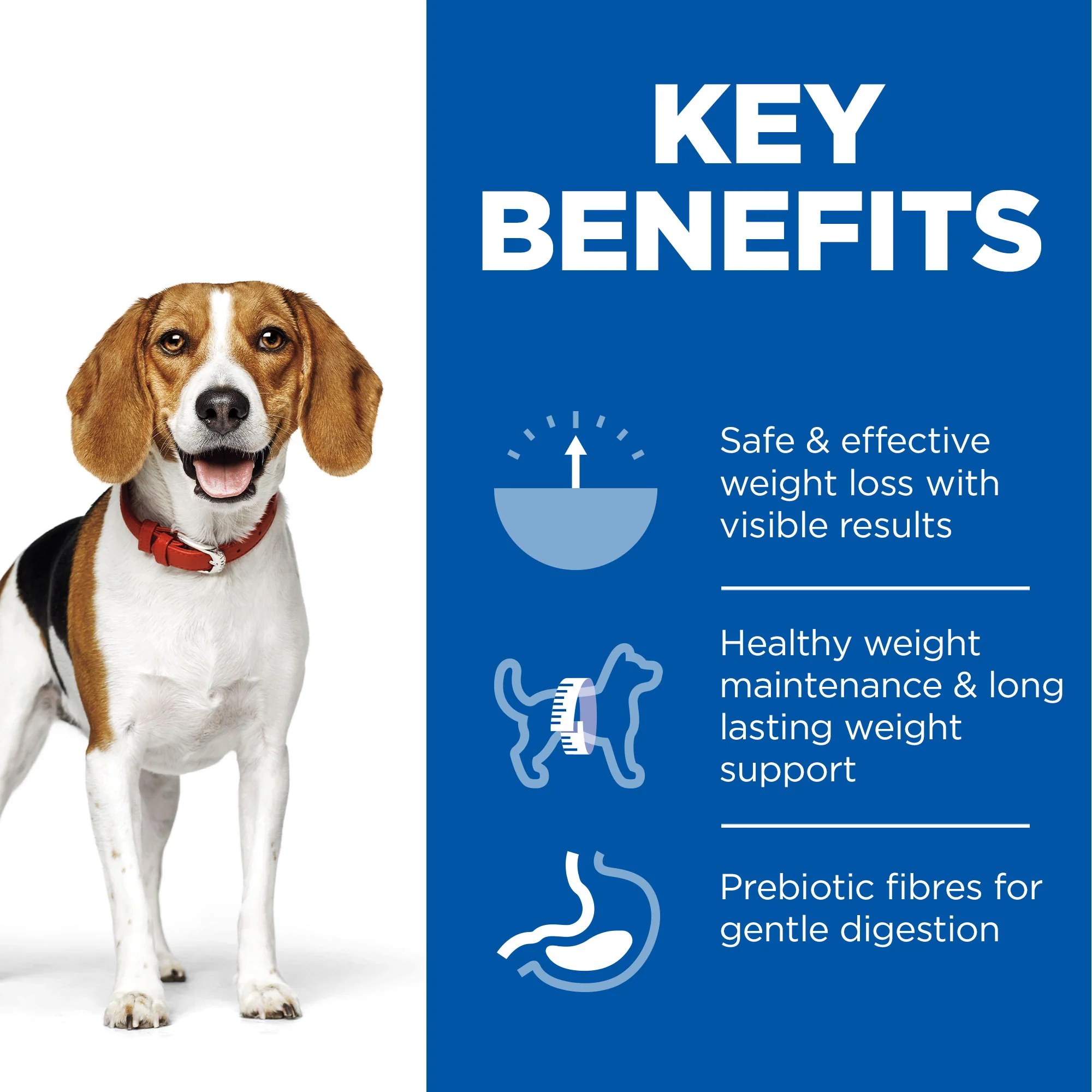 Hill's Science Plan Perfect Weight Wet Dog Food - Chicken & Vegetables - Image 4