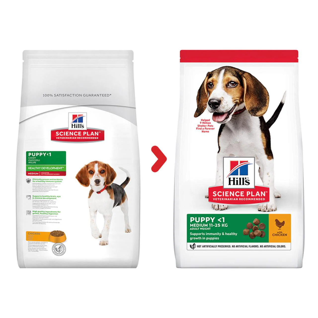 Hill's Science Plan Puppy Medium Chicken Dry Dog Food - Image 2