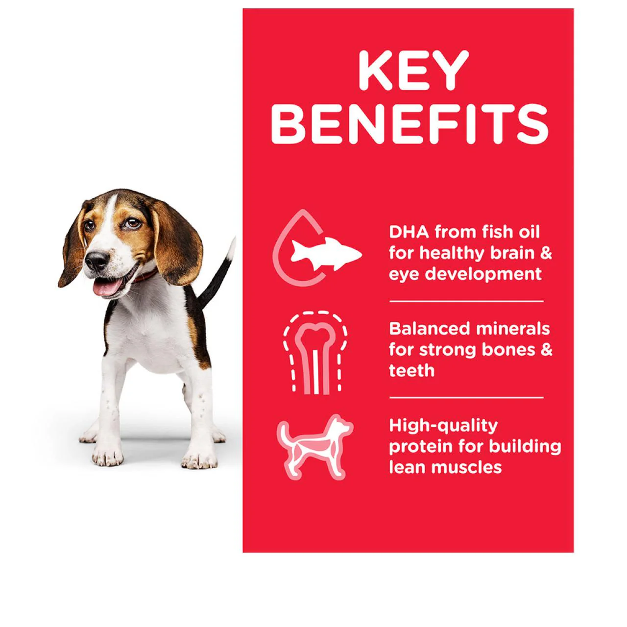 Hill's Science Plan Puppy Medium Chicken Dry Dog Food - Image 3