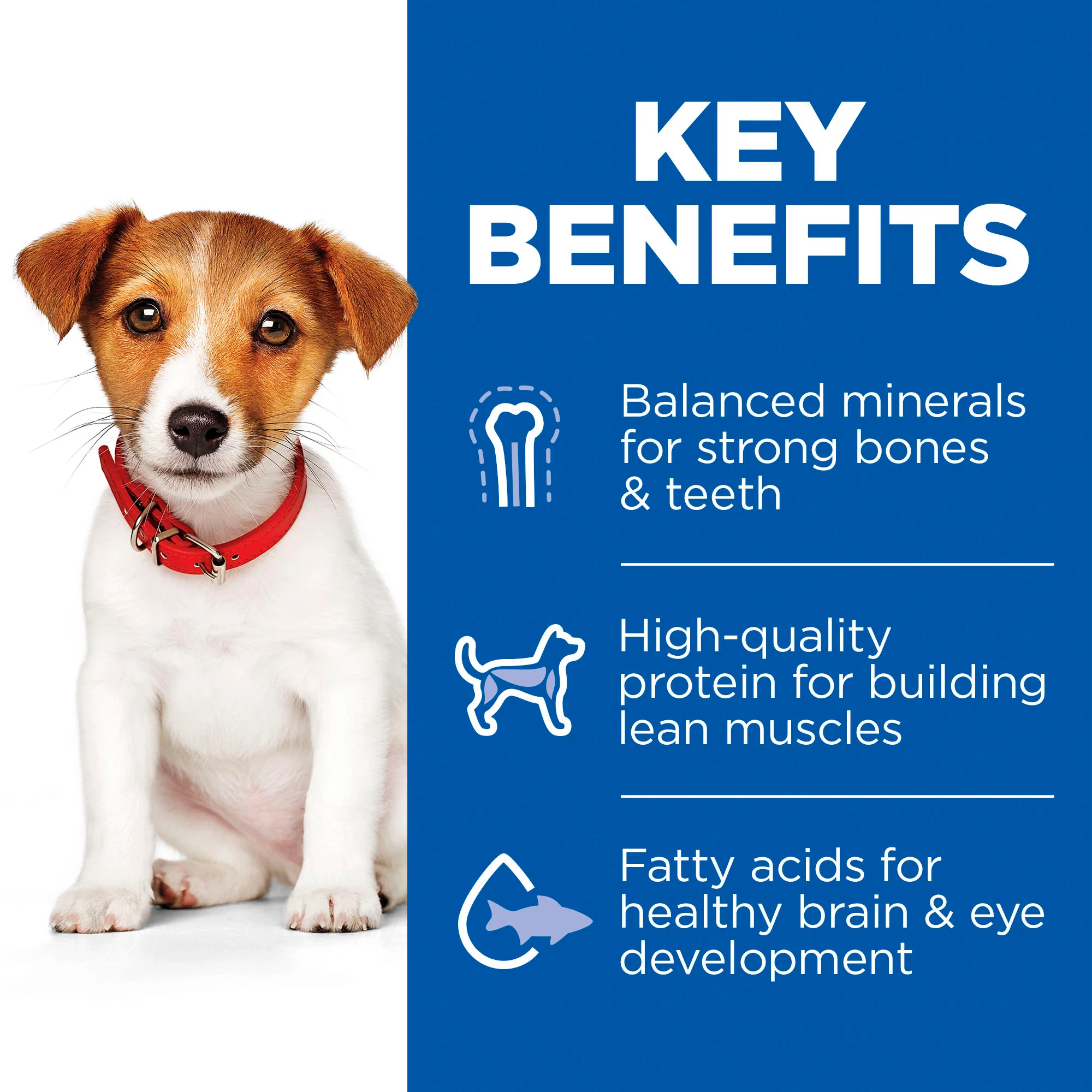Hill's Science Plan Puppy Small & Miniature Dry Dog Food - Chicken - Image 3