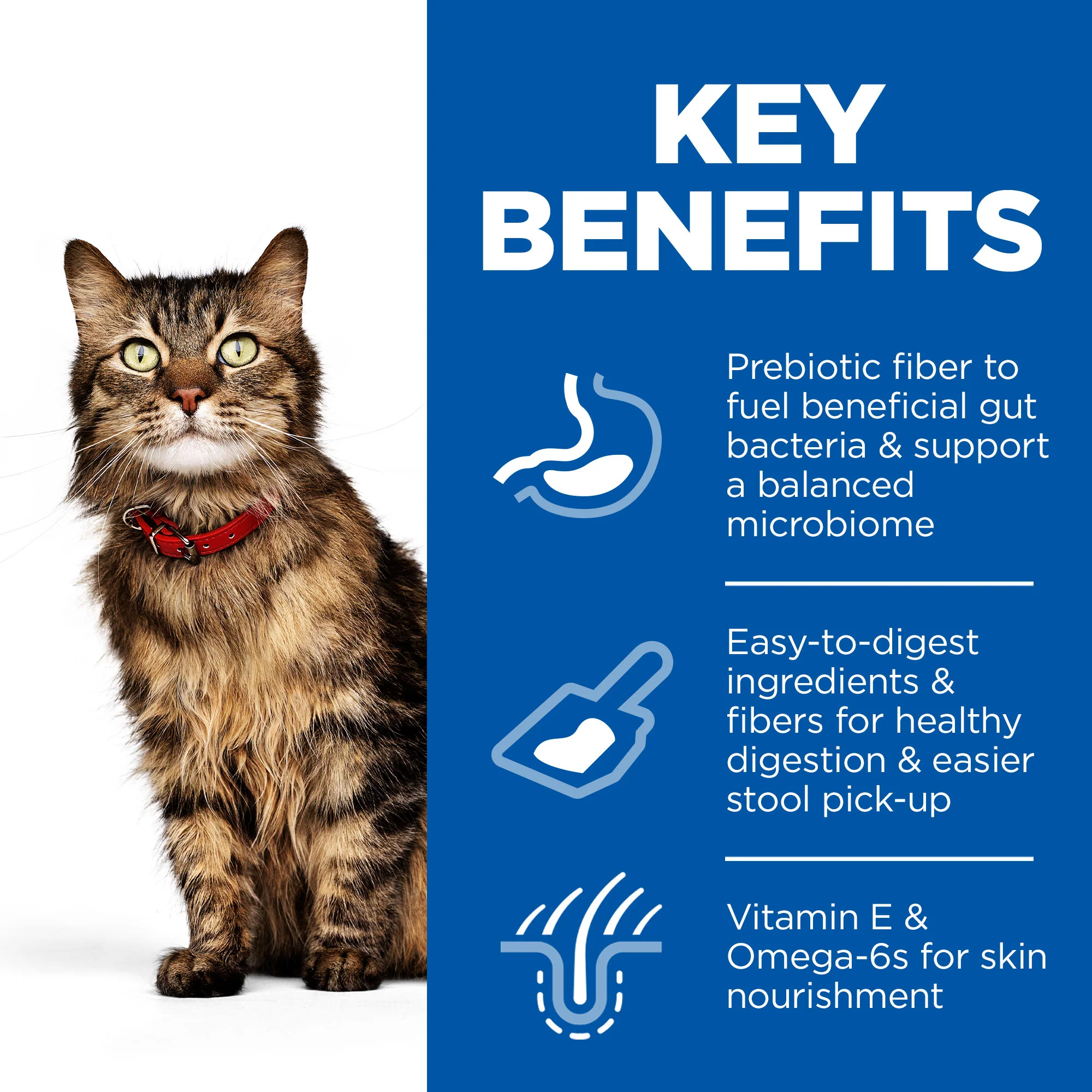 Hill's Science Plan Sensitive Stomach & Skin Adult 1+ Dry Cat Food - Chicken - Image 3