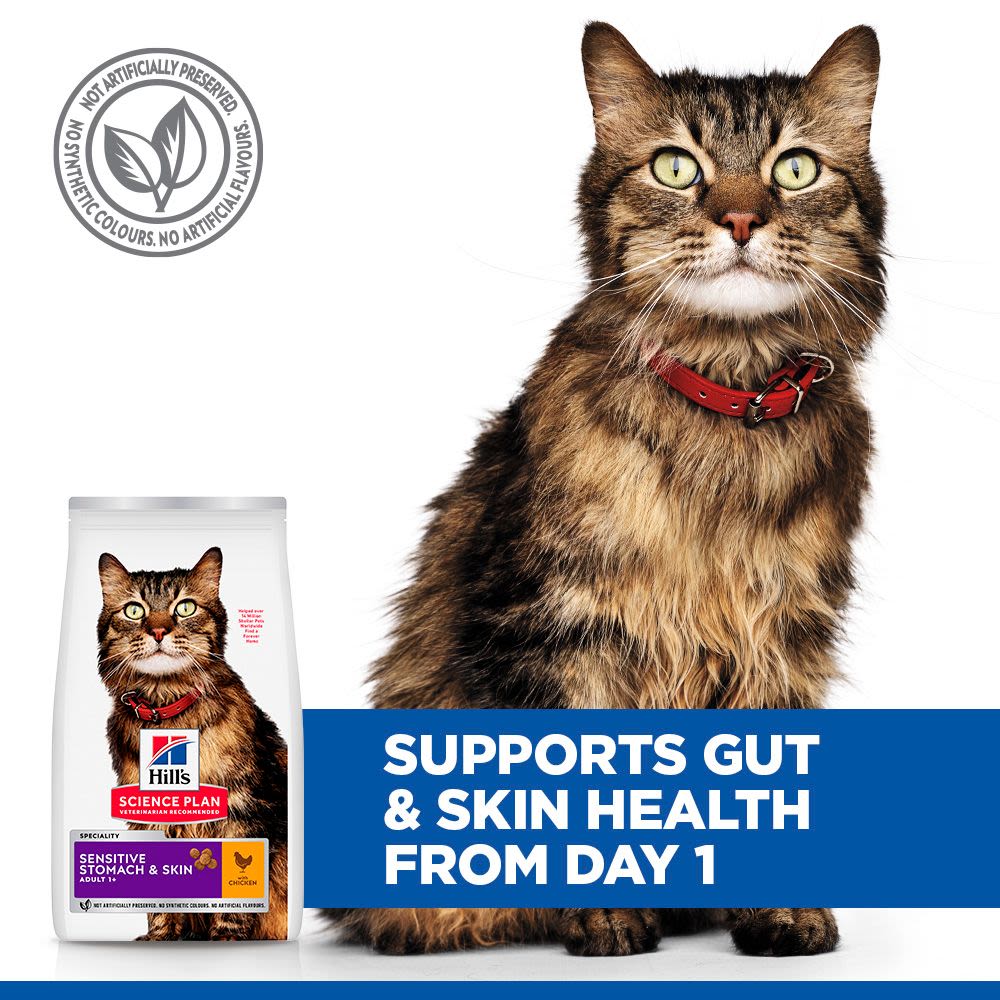 Hill's Science Plan Sensitive Stomach & Skin Adult Dry Cat Food with Chicken - 1.5kg - Image 5