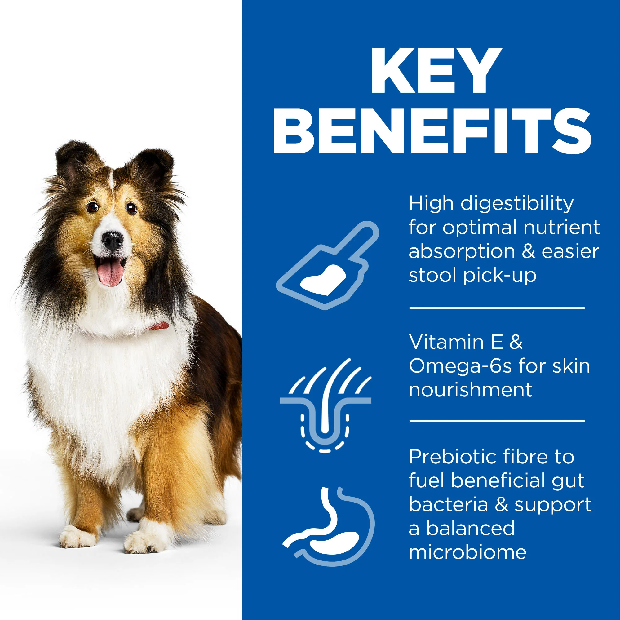 Hill's Science Plan Sensitive Stomach & Skin Medium Adult 1+ Dry Dog Food - Chicken - Image 3