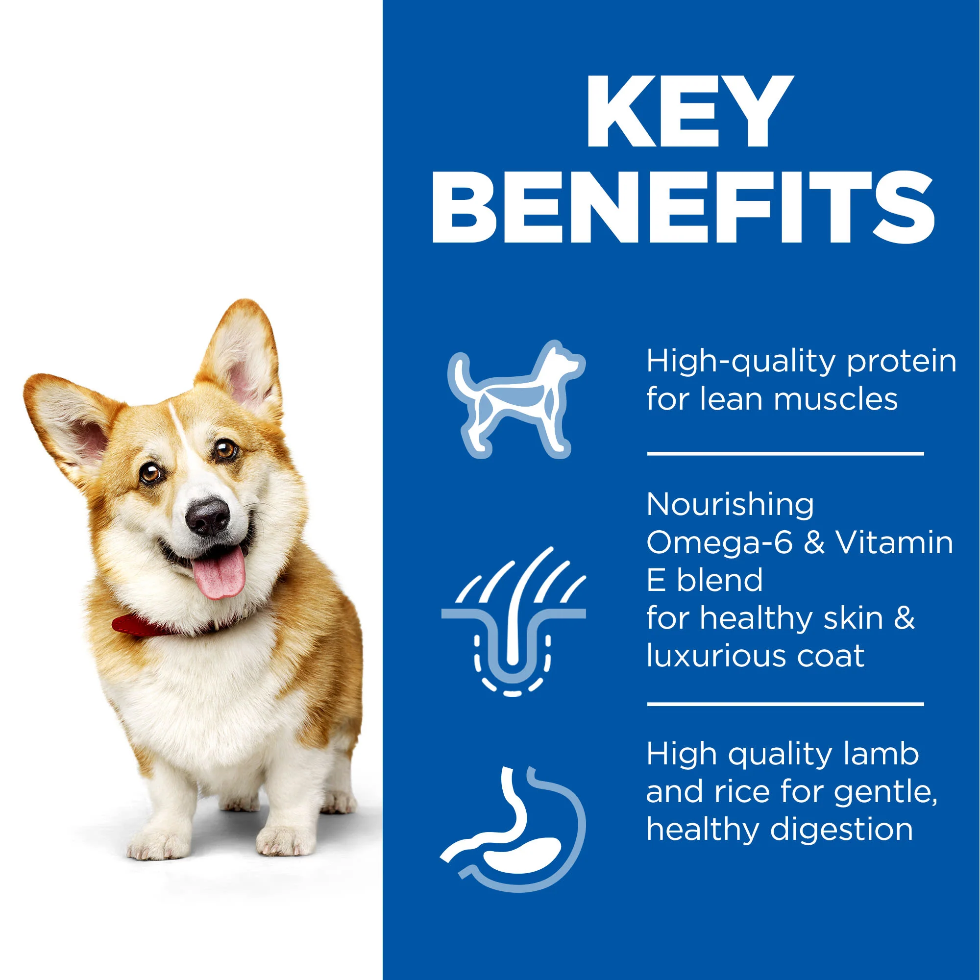 Hill's Science Plan Small & Mini Adult Dry Dog Food - Lamb & Rice - Image 3