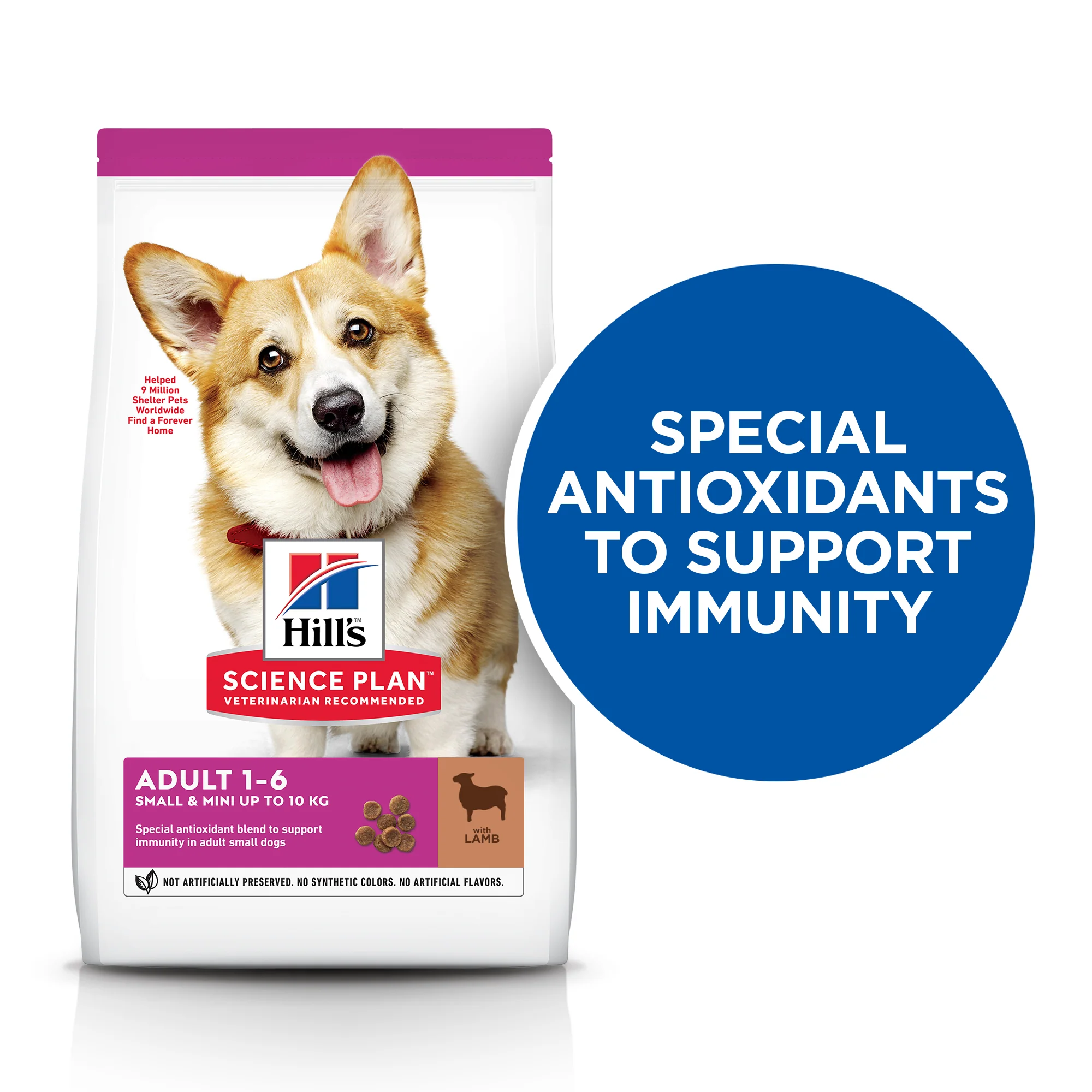 Hill's Science Plan Small & Mini Adult Dry Dog Food - Lamb & Rice - Image 4