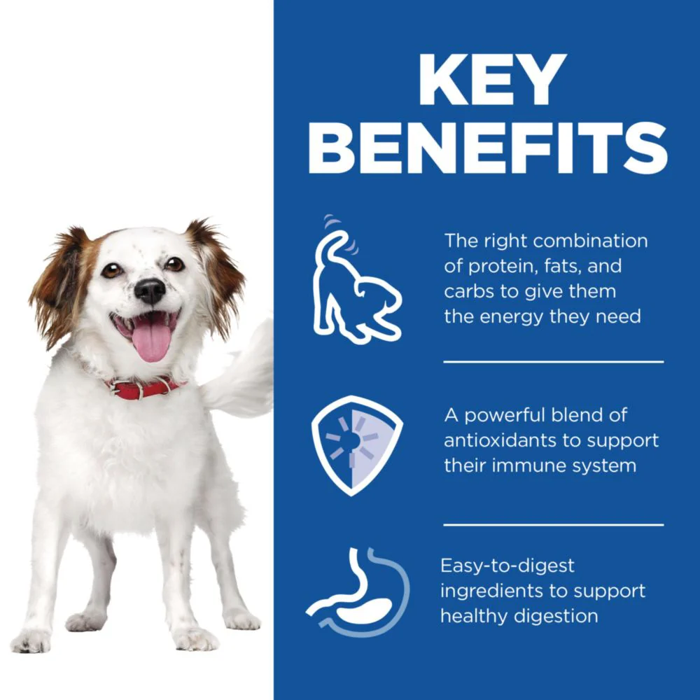 Hill's Science Plan Small & Mini Adult Wet Dog Food - Chicken - Image 7
