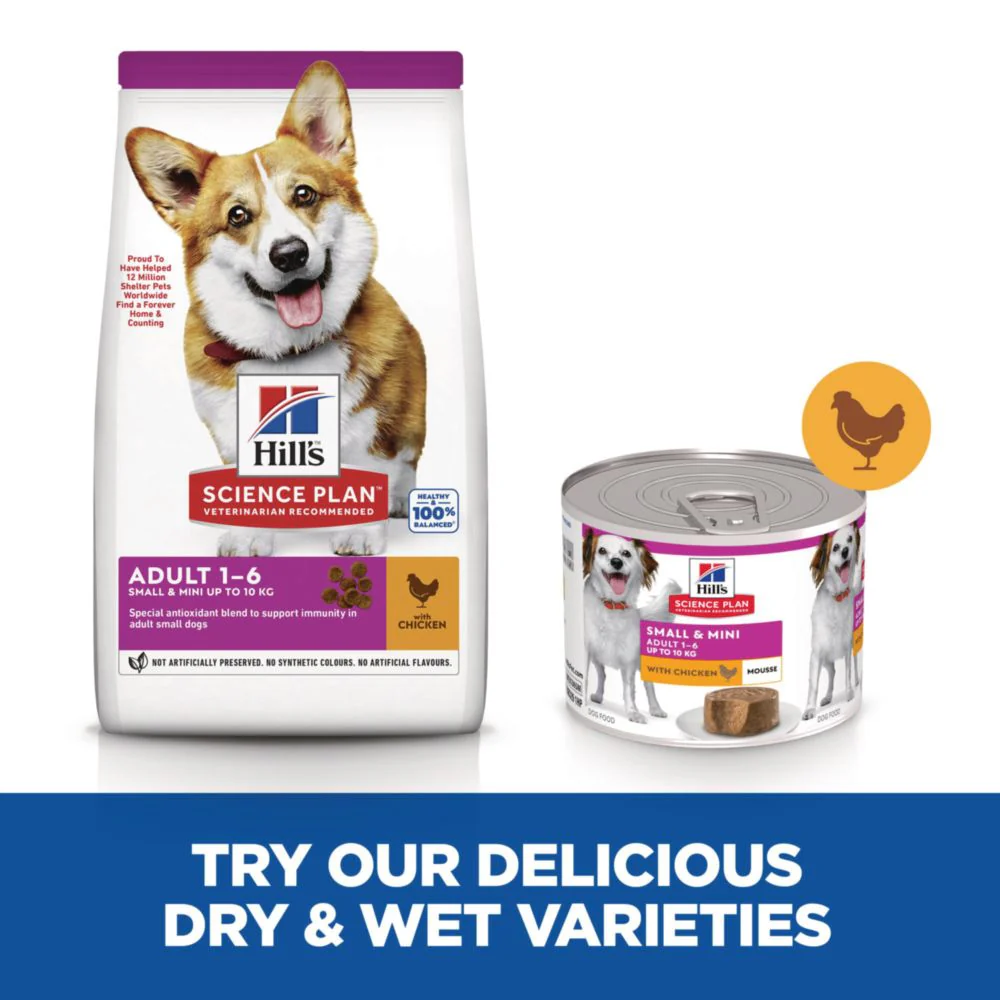 Hill's Science Plan Small & Mini Adult Wet Dog Food - Chicken - Image 8