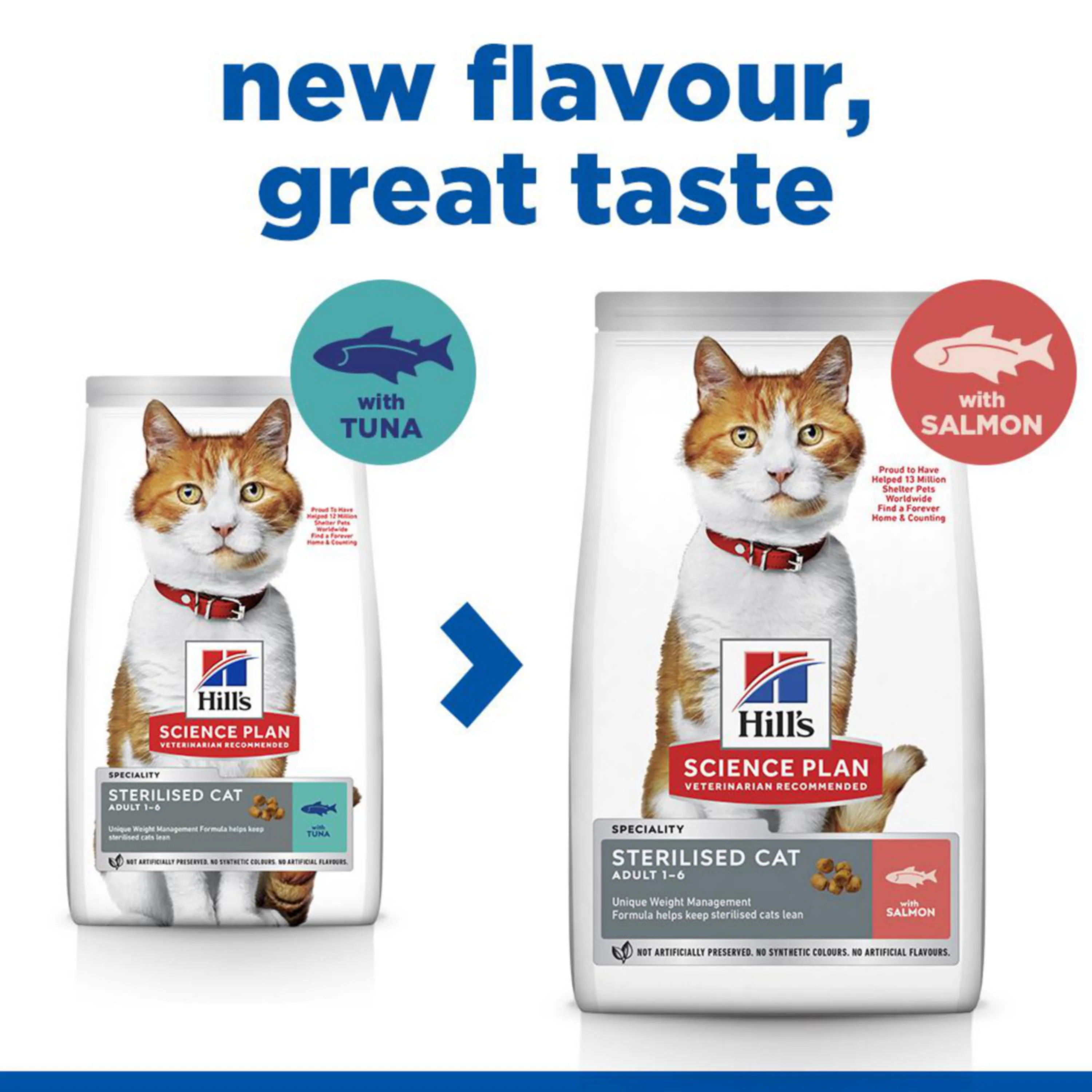 Hill's Science Plan Sterilised Adult Dry Cat Food - Salmon - Image 6