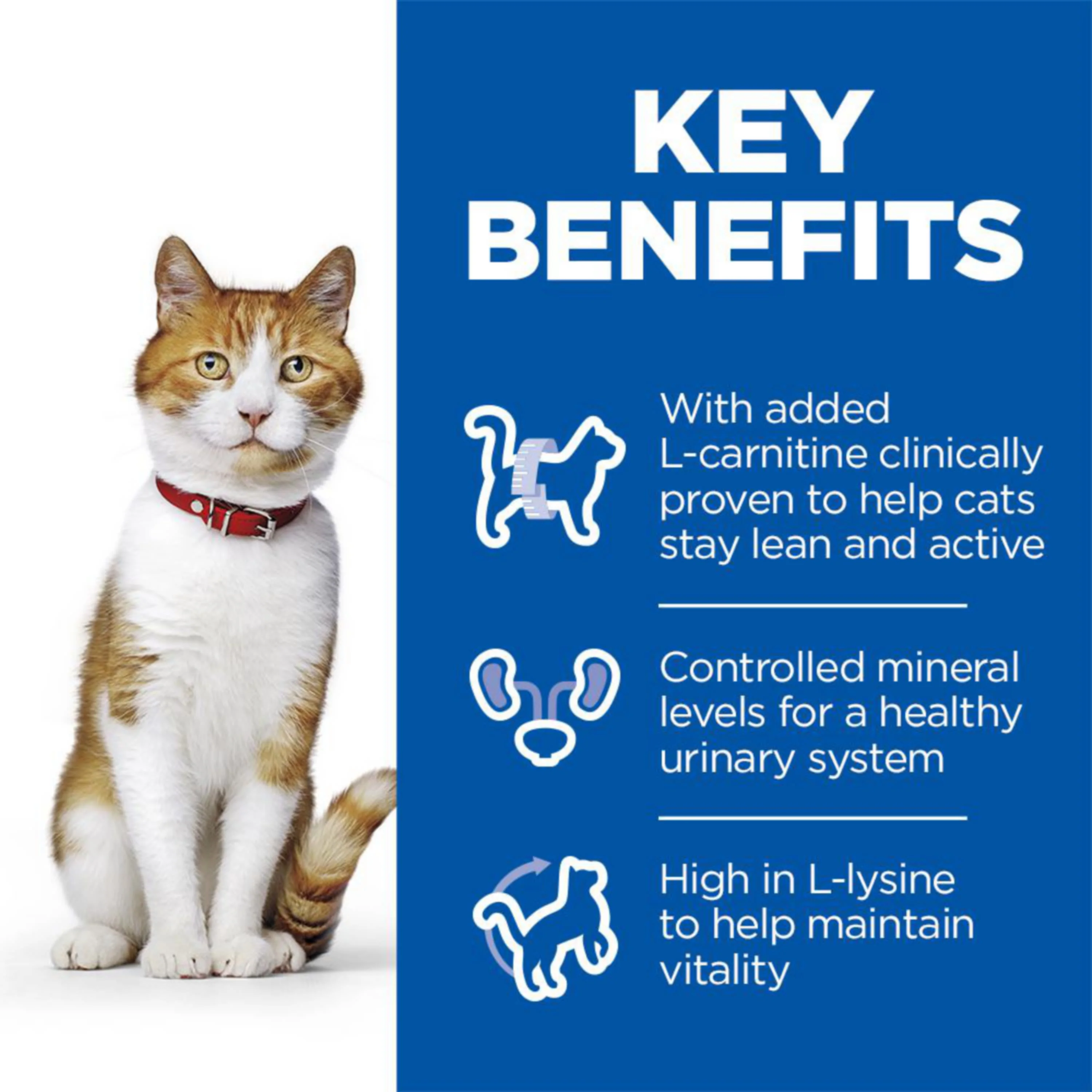 Hill's Science Plan Sterilised Adult Dry Cat Food - Salmon - Image 9