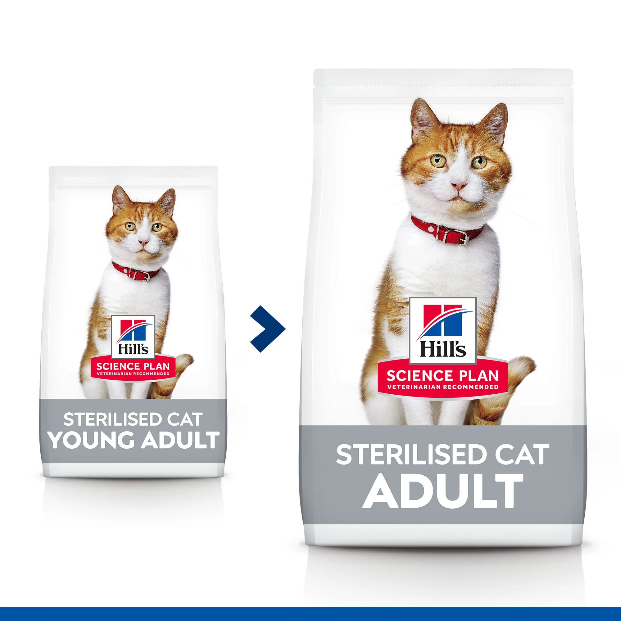 Hill's Science Plan Sterilised Cat Adult Cat Dry Food - Chicken - Image 3