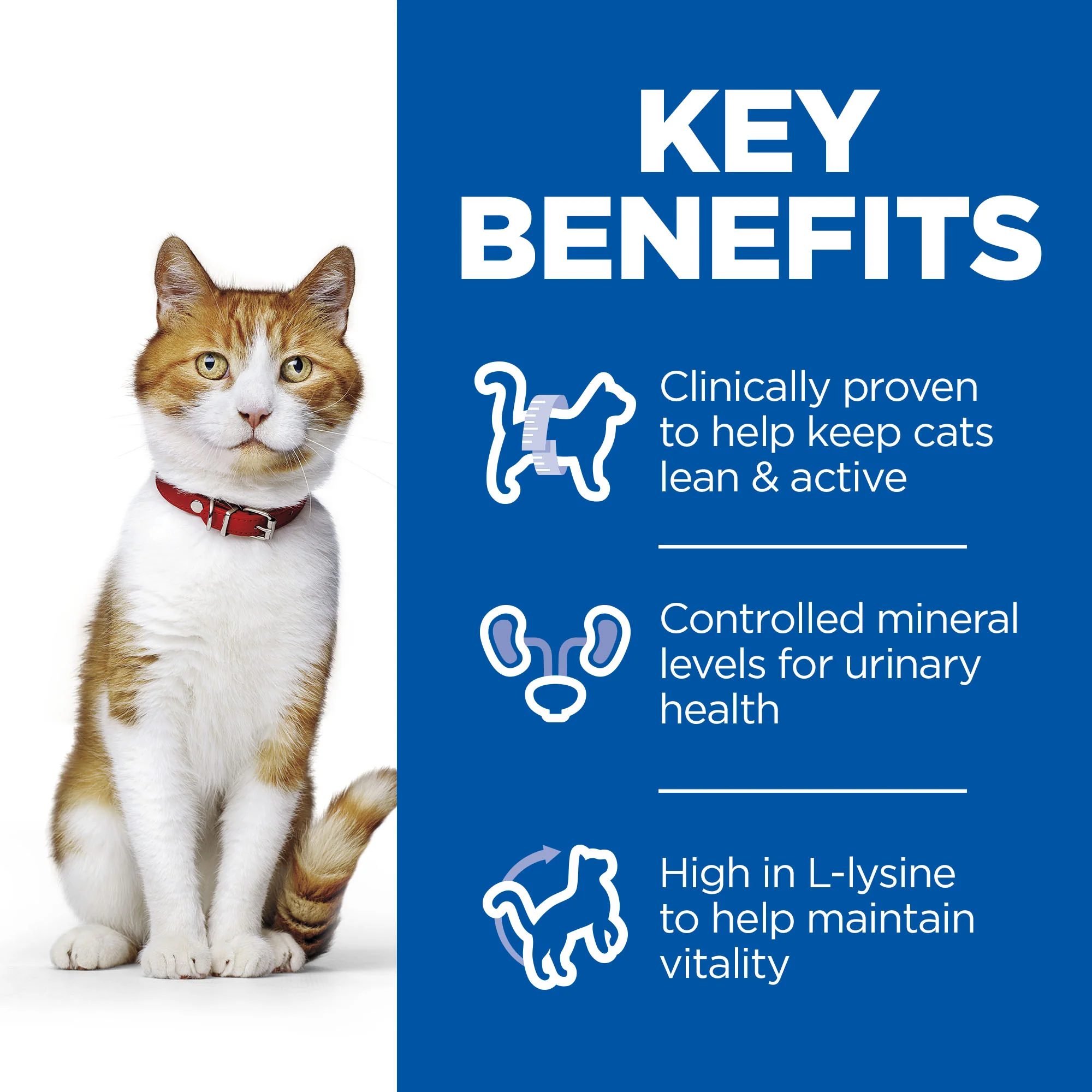 Hill's Science Plan Sterilised Cat Adult Cat Dry Food - Chicken - Image 5