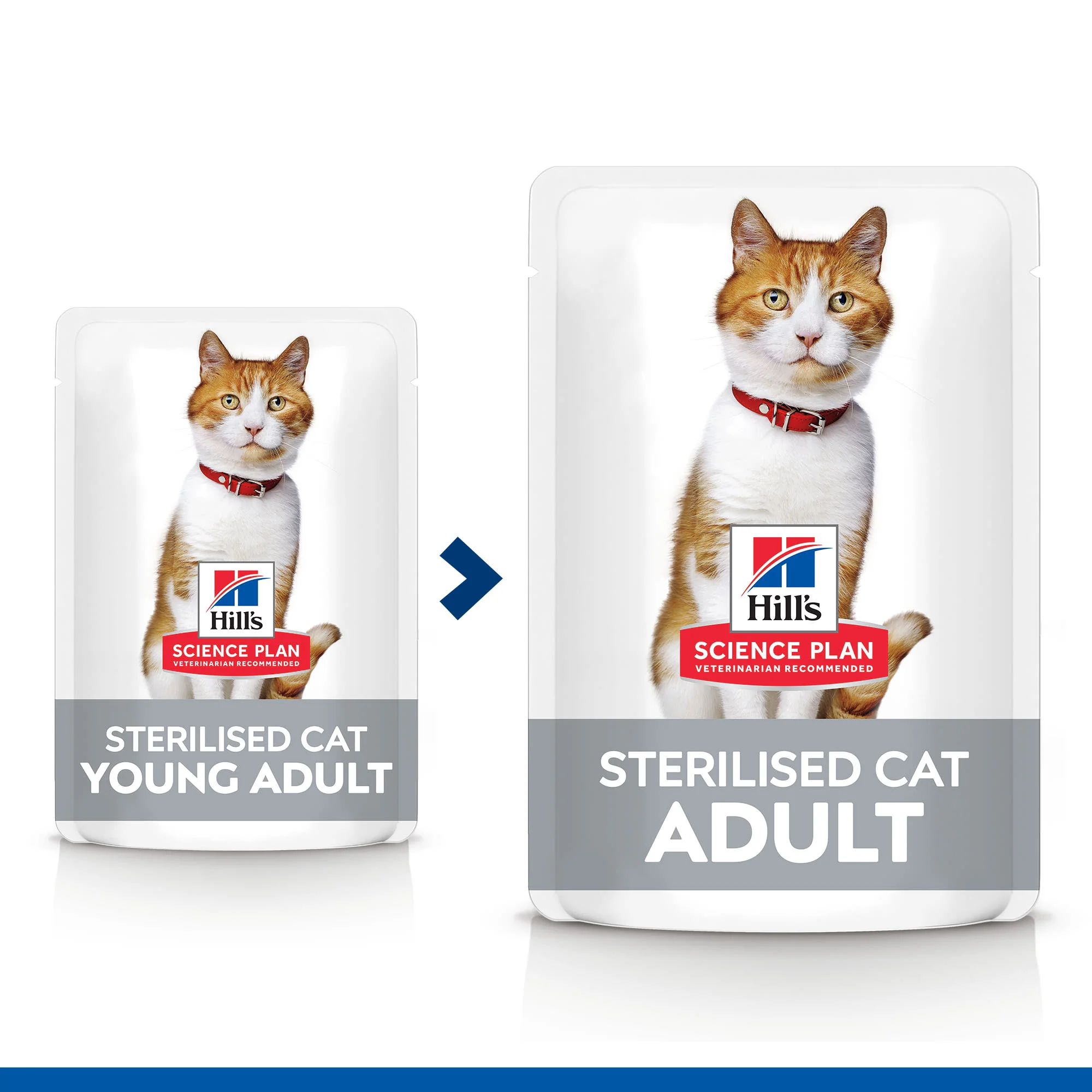 Hill's Science Plan Sterilised Cat Adult Wet Cat Food Multipack - Chicken, Salmon, Trout, Turkey - Image 3