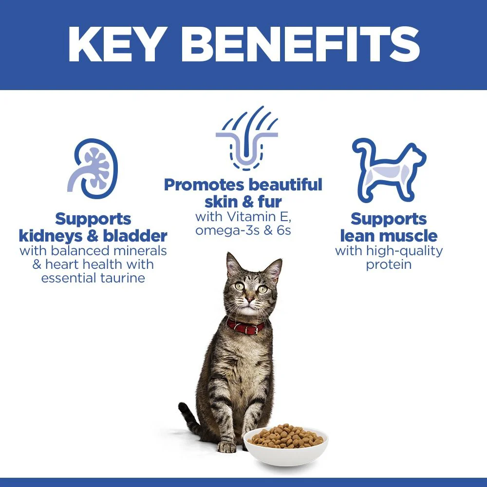Hill's Science Plan Adult Dry Cat Food with Salmon - Image 3