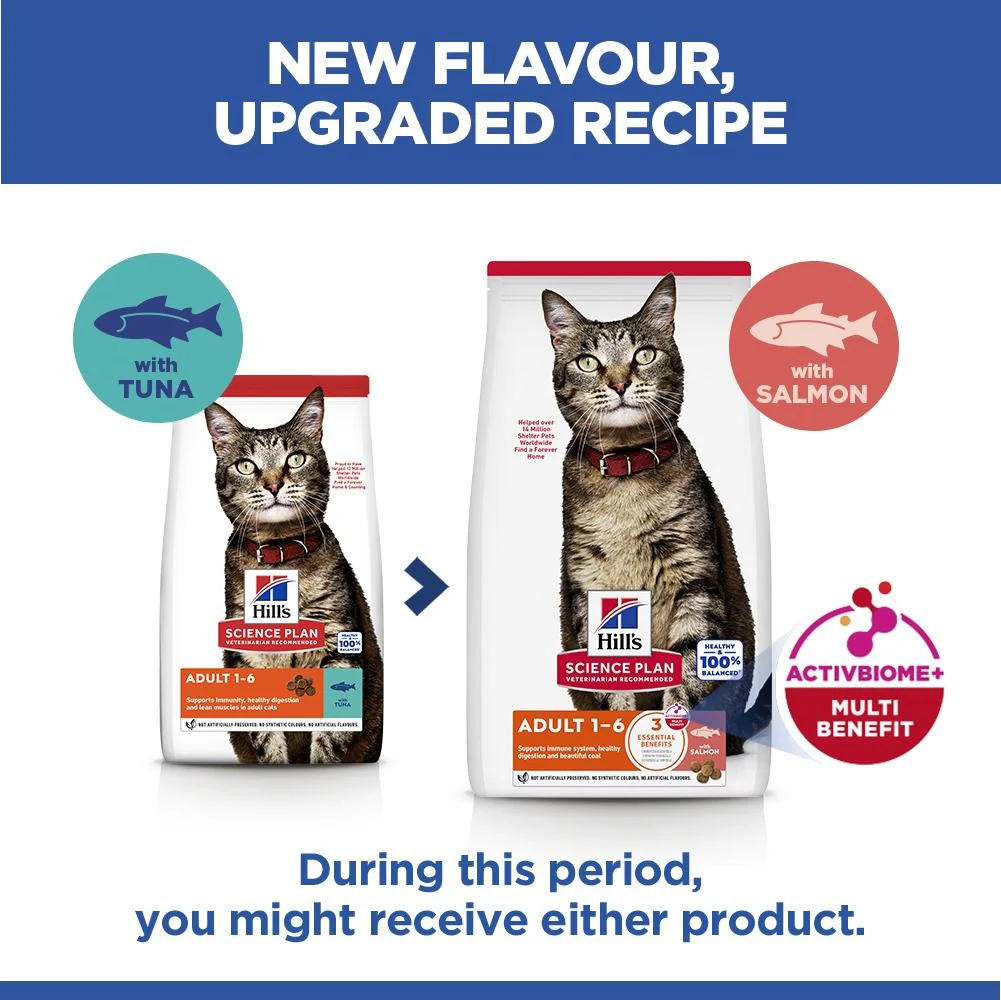 Hill's Science Plan Adult Dry Cat Food with Salmon - Image 9