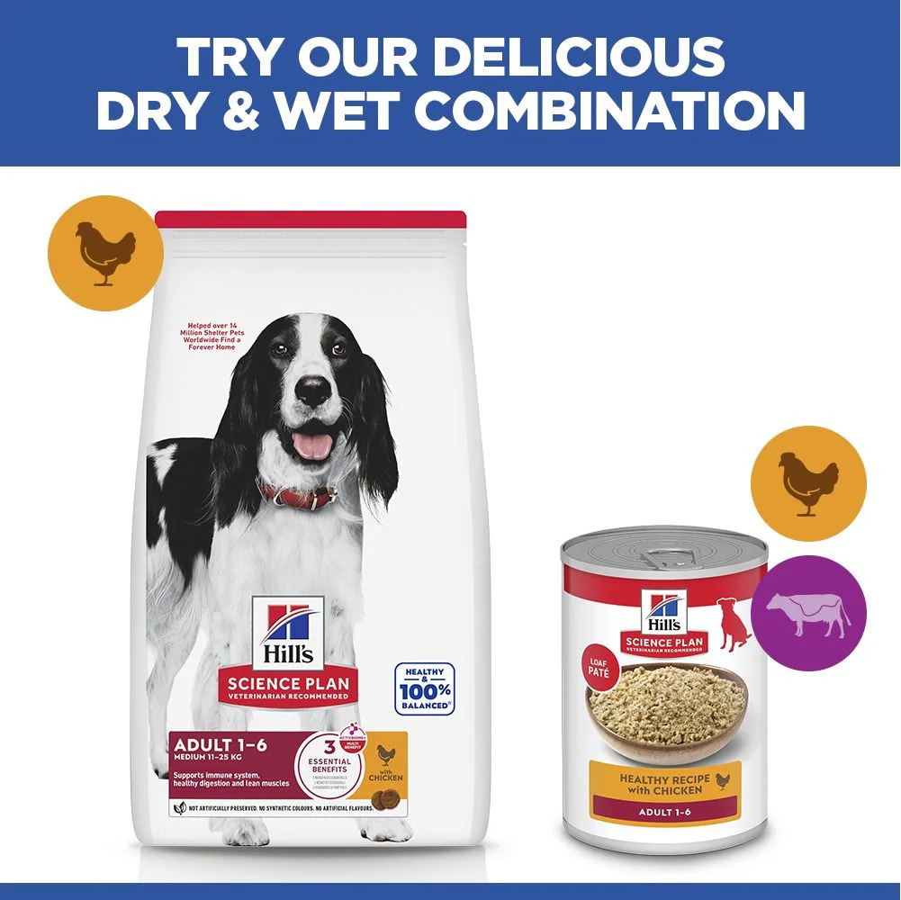 Hill's Science Plan Adult Medium Breed Dry Dog Food with Chicken - Image 6