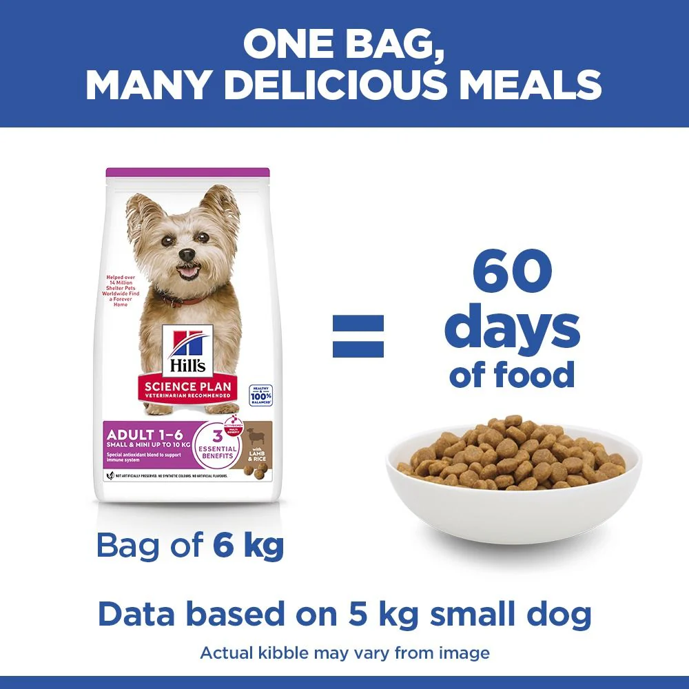 Hill's Science Plan Adult Small & Mini Breed Dry Dog Food with Lamb & Rice - Image 5