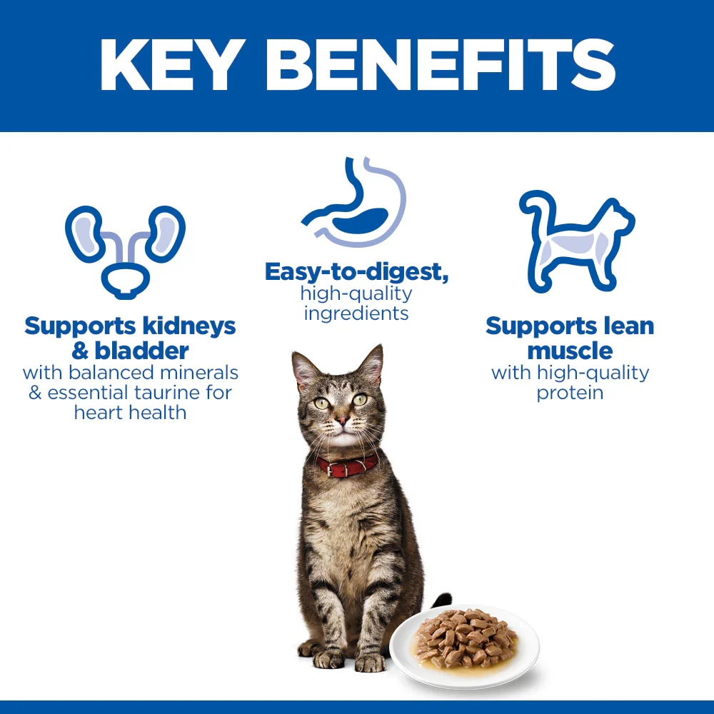Hill's Science Plan Adult Wet Cat Food Premium Chunks in Sauce with Ocean Fish - Image 3