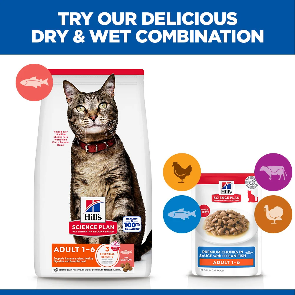 Hill's Science Plan Adult Wet Cat Food Premium Chunks in Sauce with Ocean Fish - Image 5